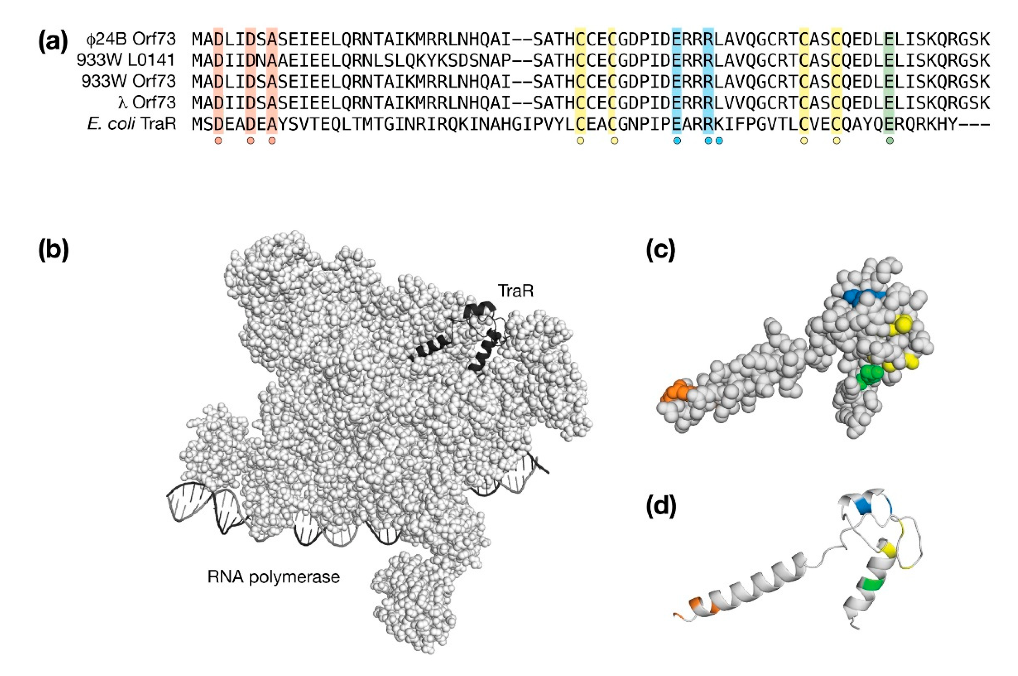 Antibiotics 10 01282 g007