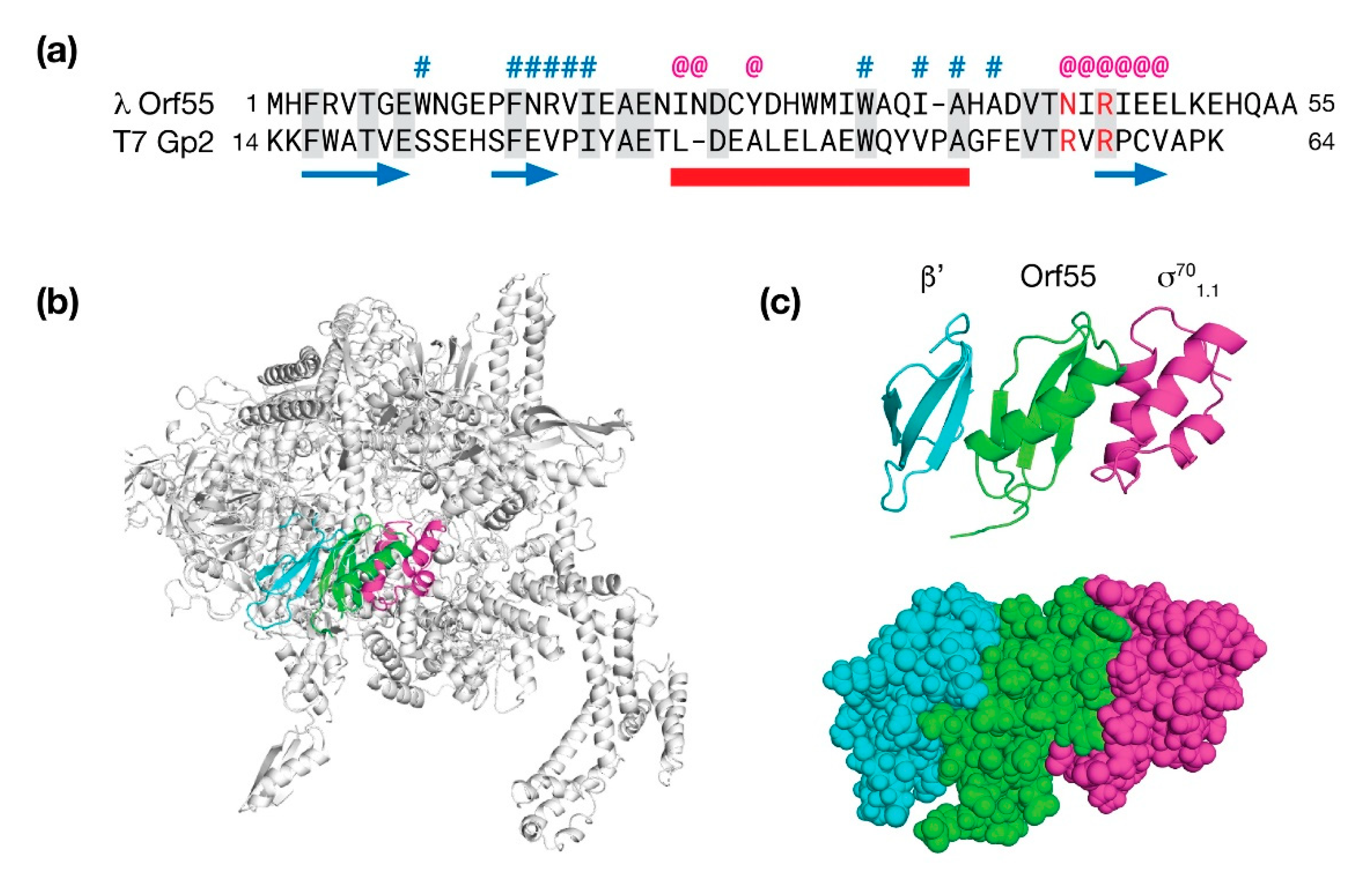 Antibiotics 10 01282 g008