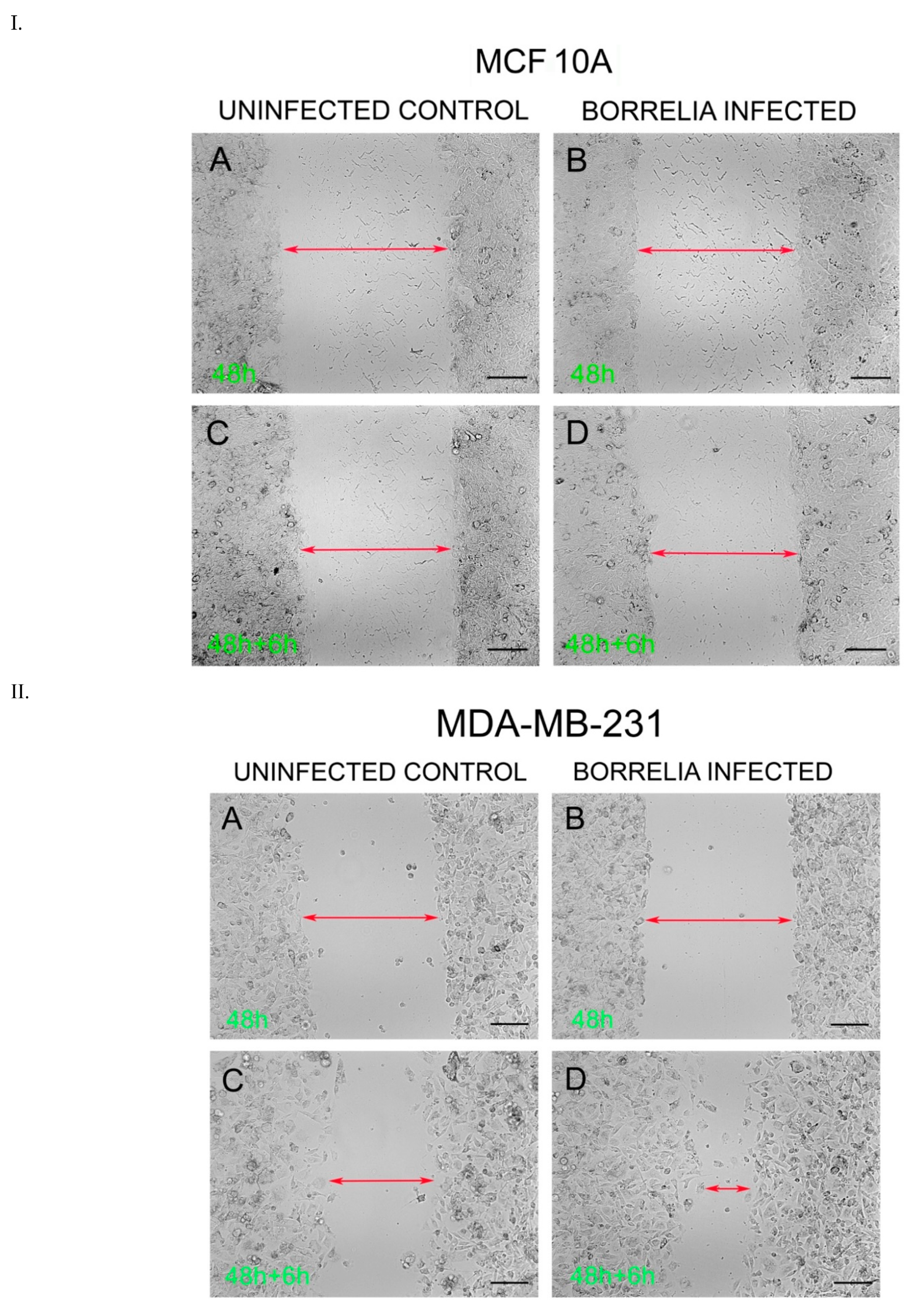 Antibiotics 10 01295 g006 550