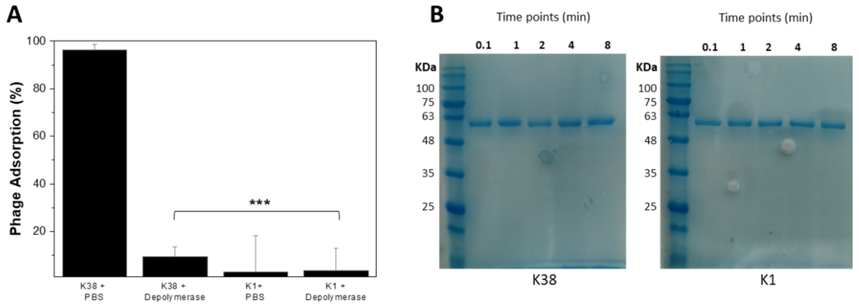 Antibiotics 10 01304 g003