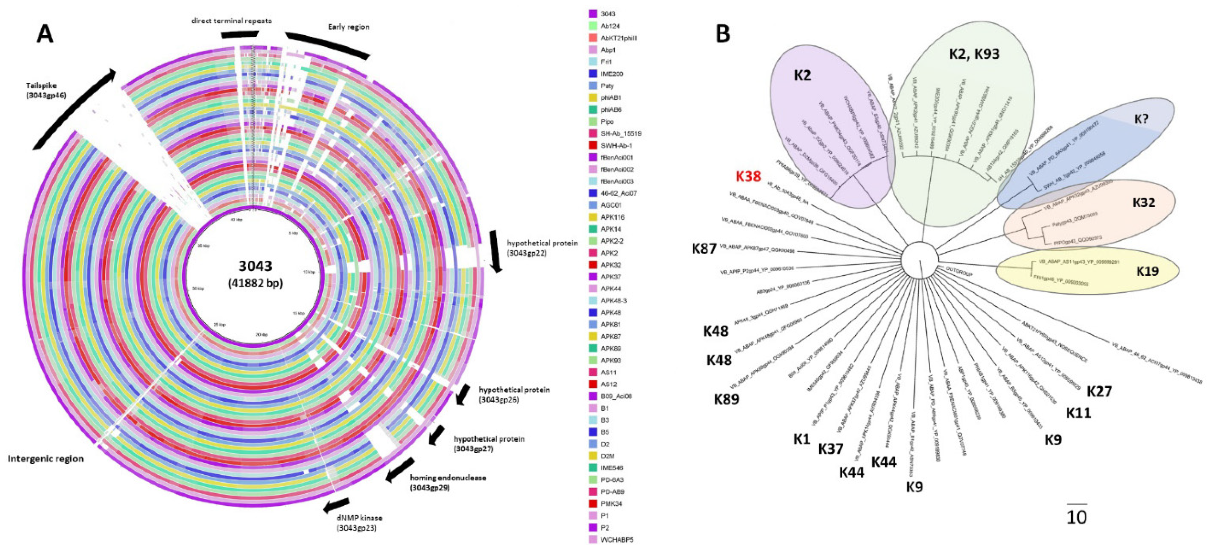 Antibiotics 10 01304 g005