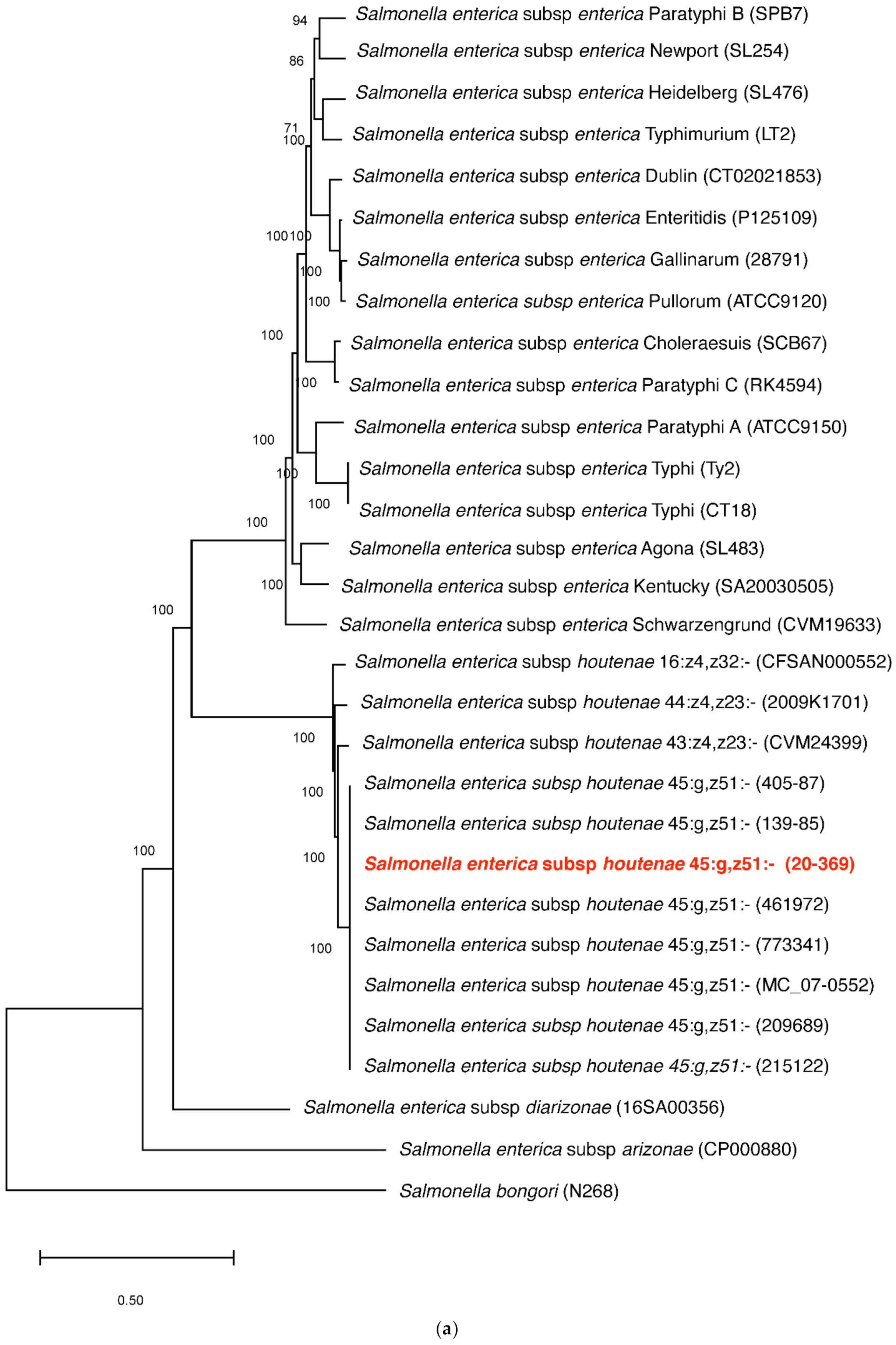 Antibiotics 10 01322 g001a