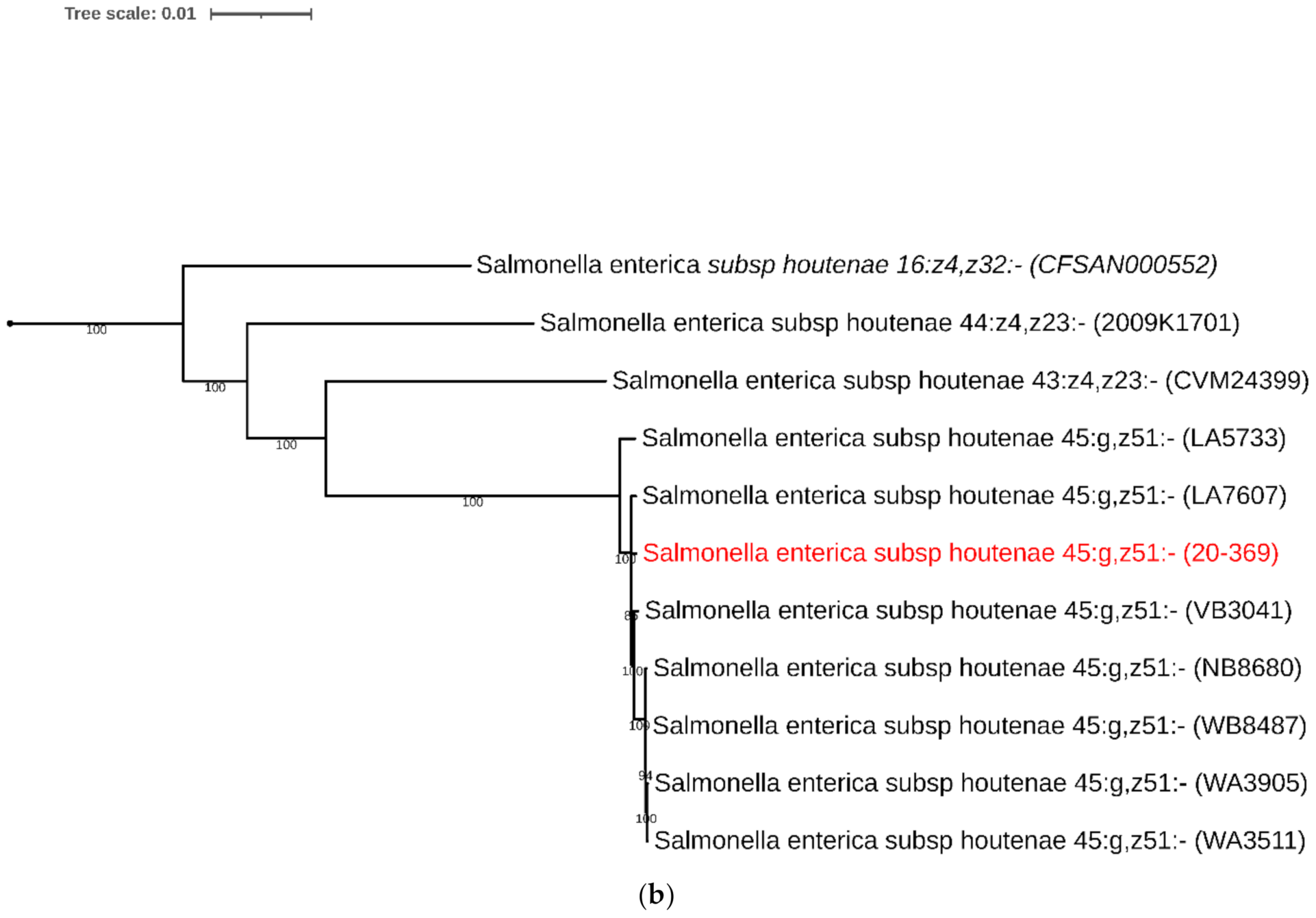 Antibiotics 10 01322 g001b