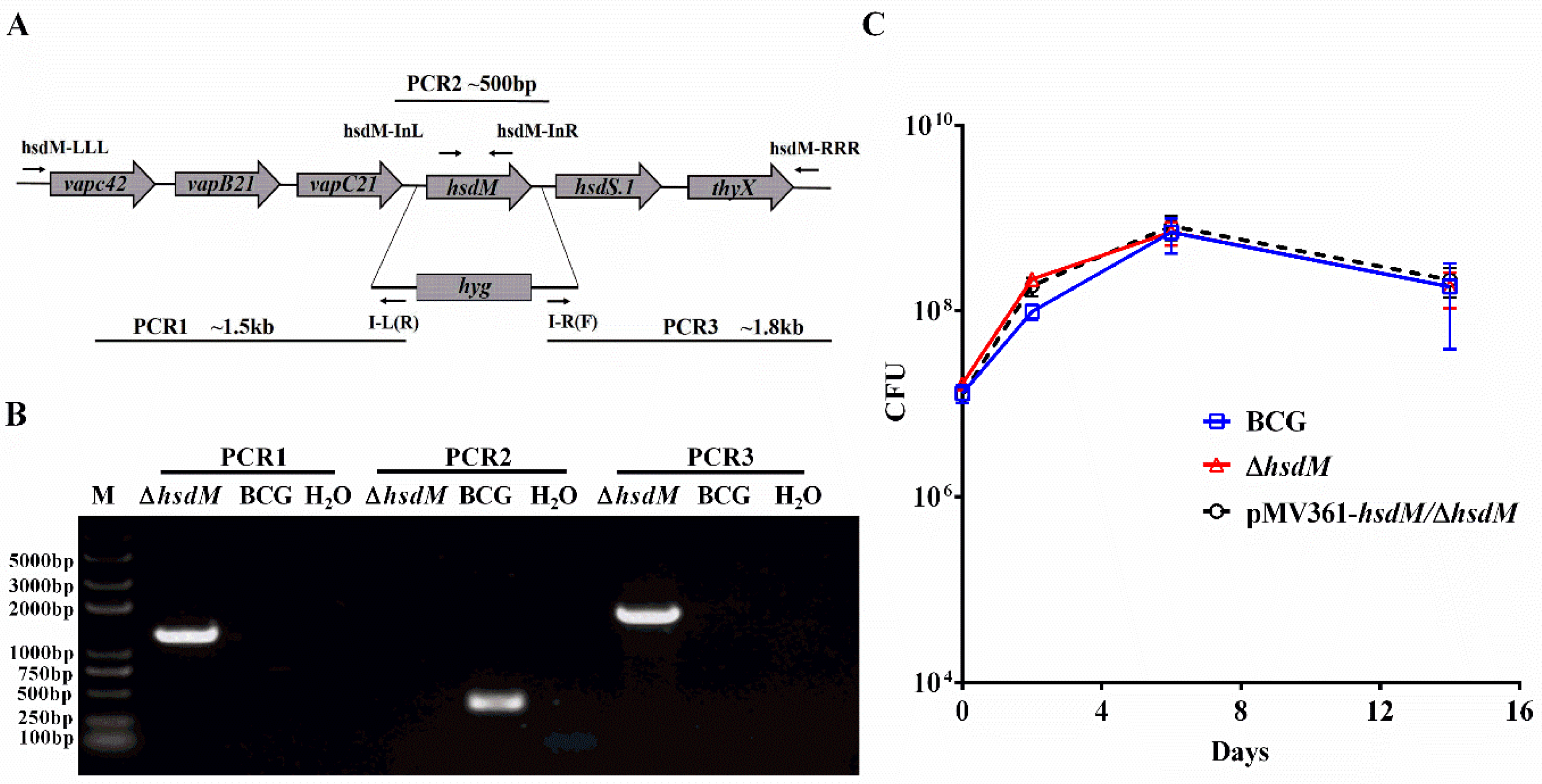 Antibiotics 10 01323 g001 Antibiotics 10 01323 g001