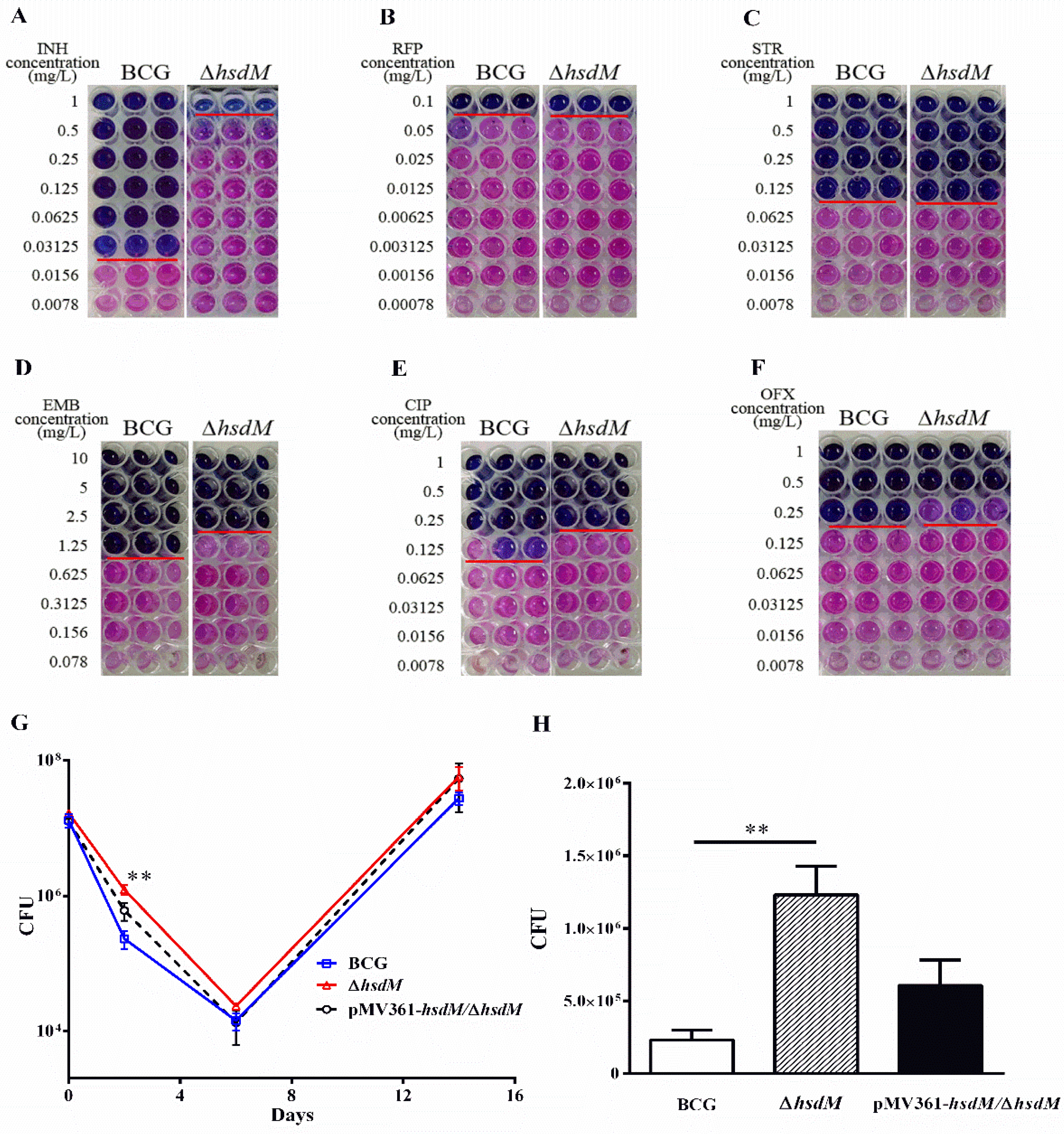 Antibiotics 10 01323 g002 Antibiotics 10 01323 g002