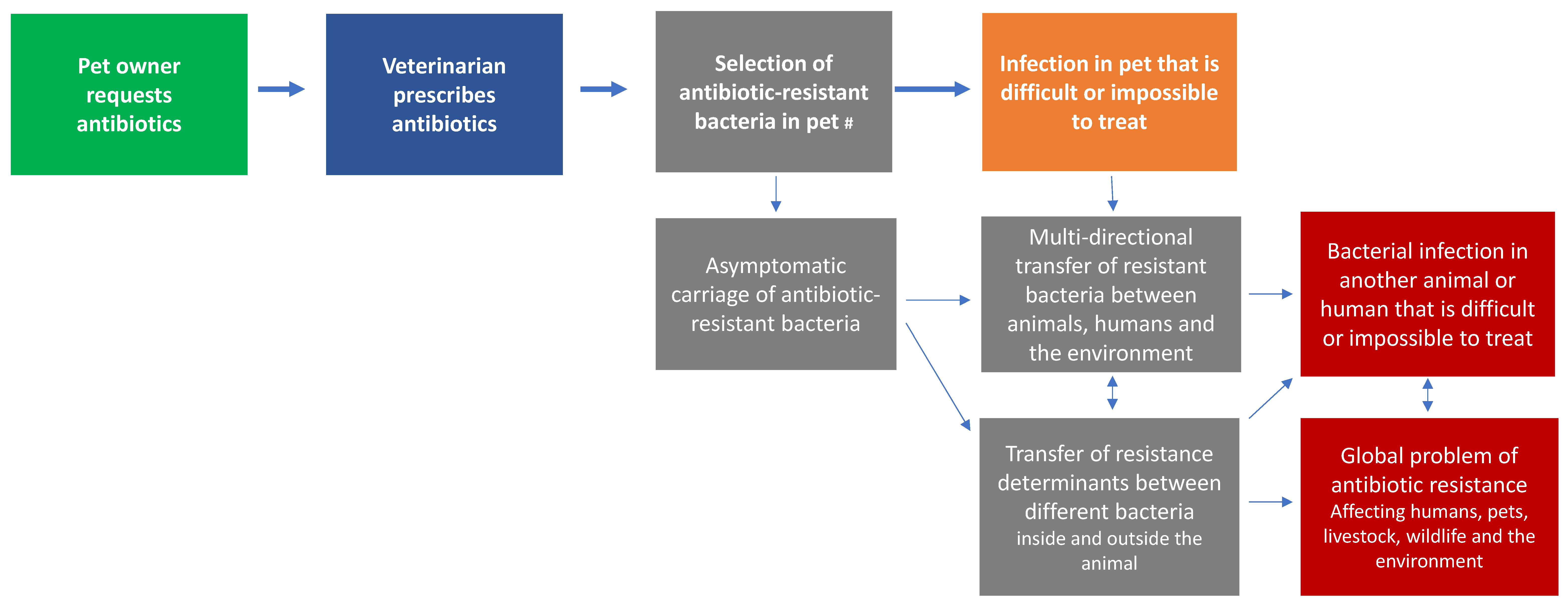 Antibiotics 10 01326 g013