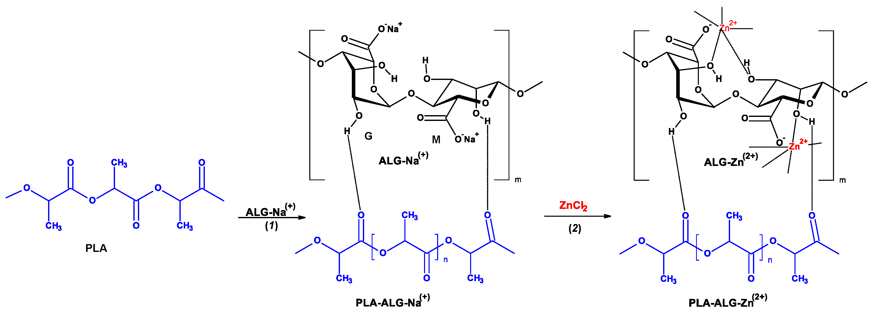 Antibiotics 10 01327 g001
