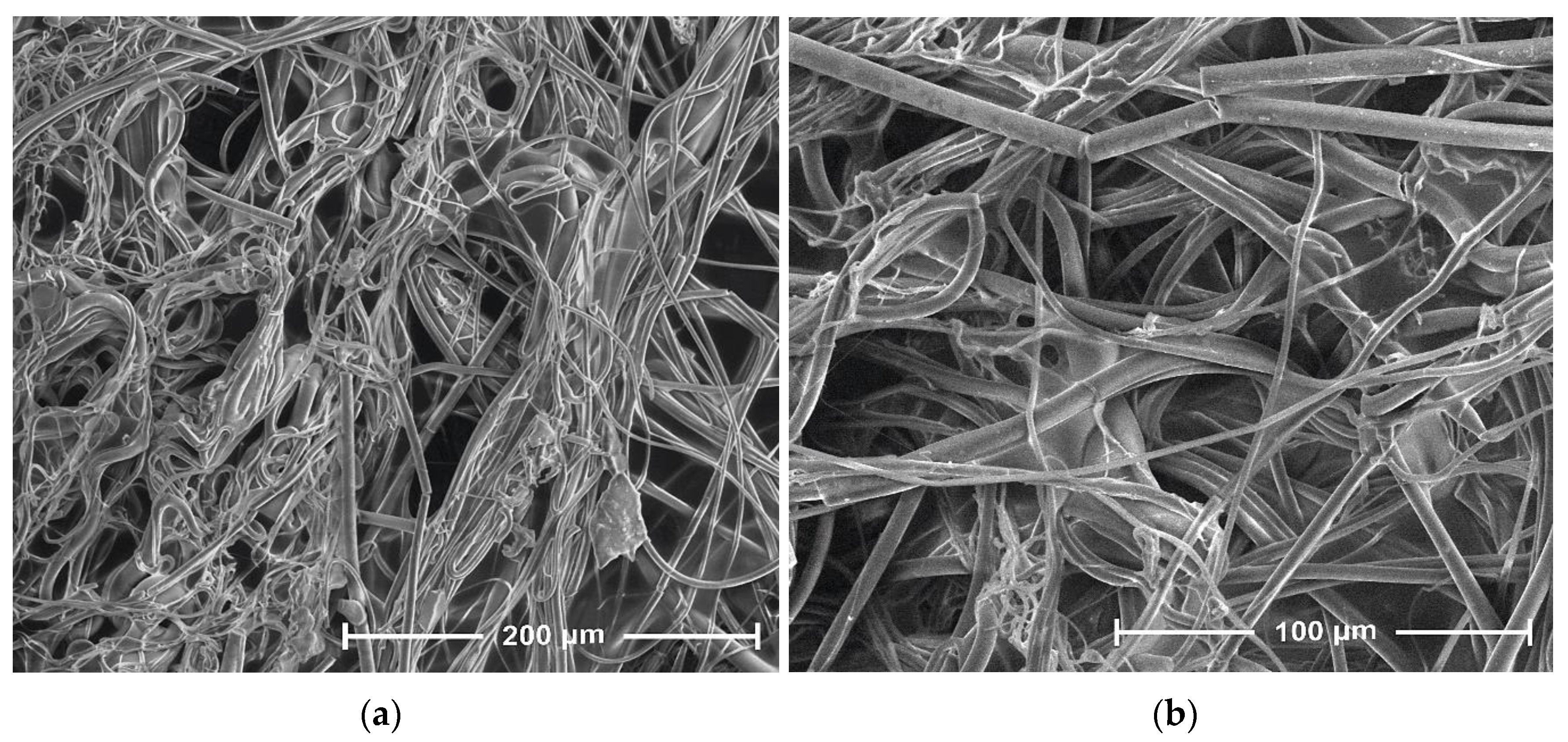 Antibiotics 10 01327 g005