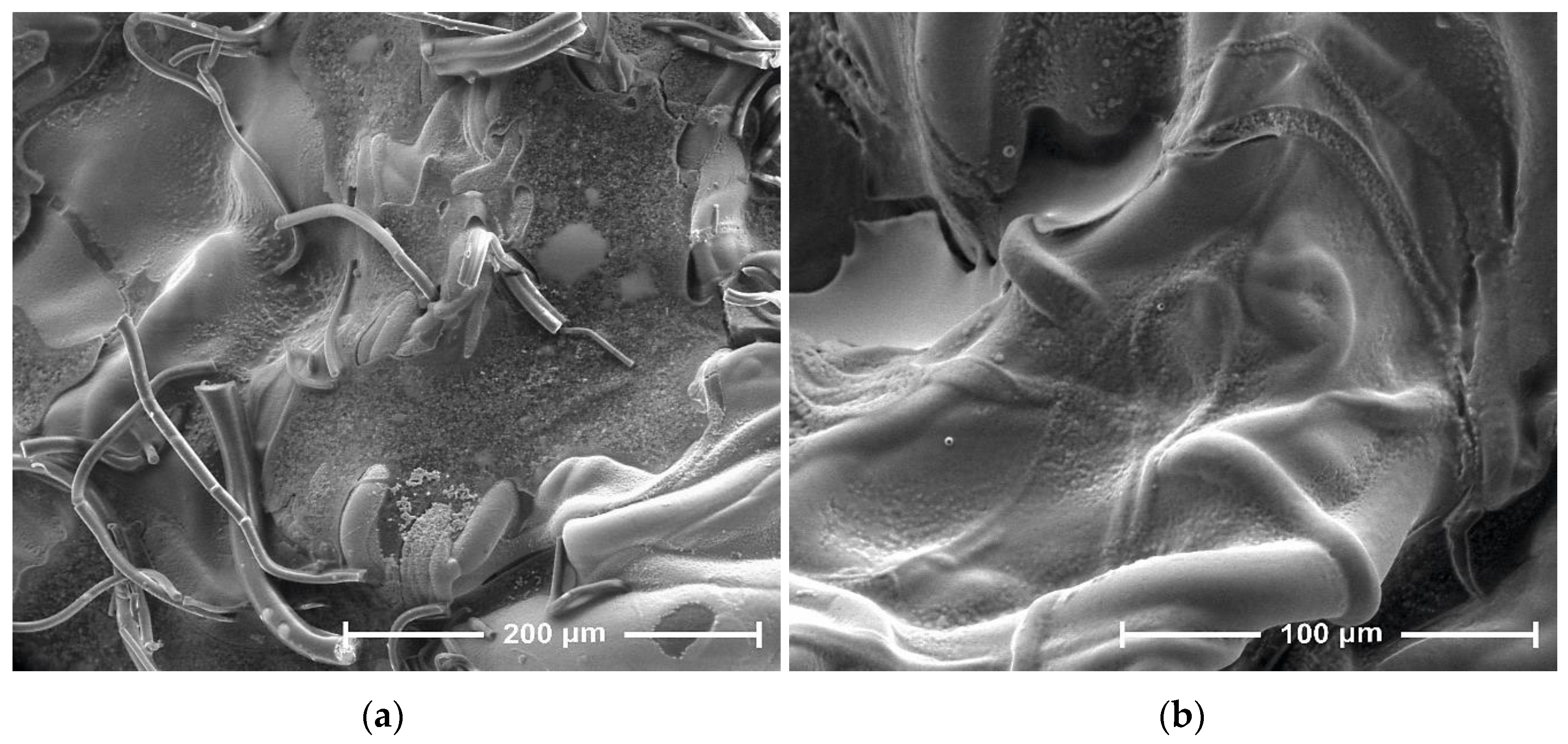 Antibiotics 10 01327 g006