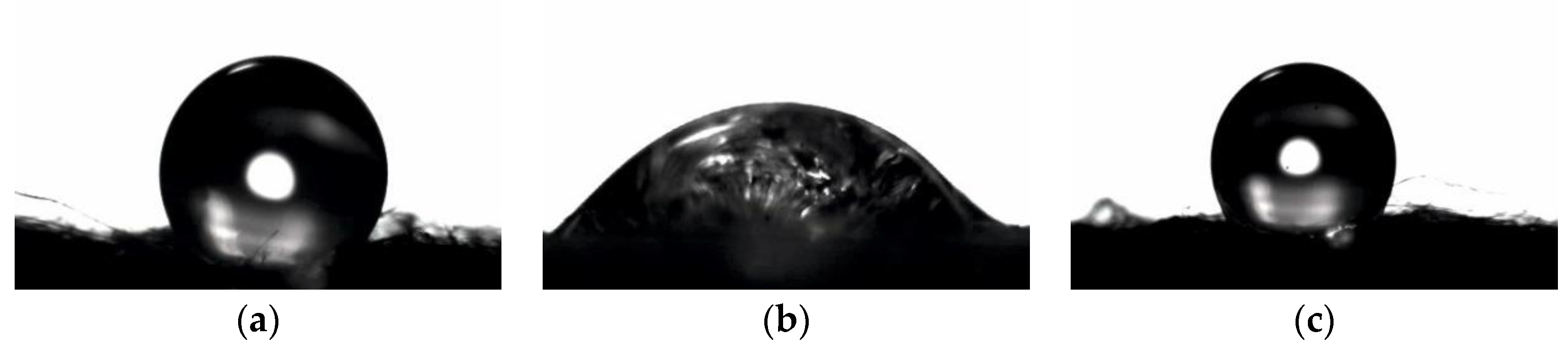 Antibiotics 10 01327 g010