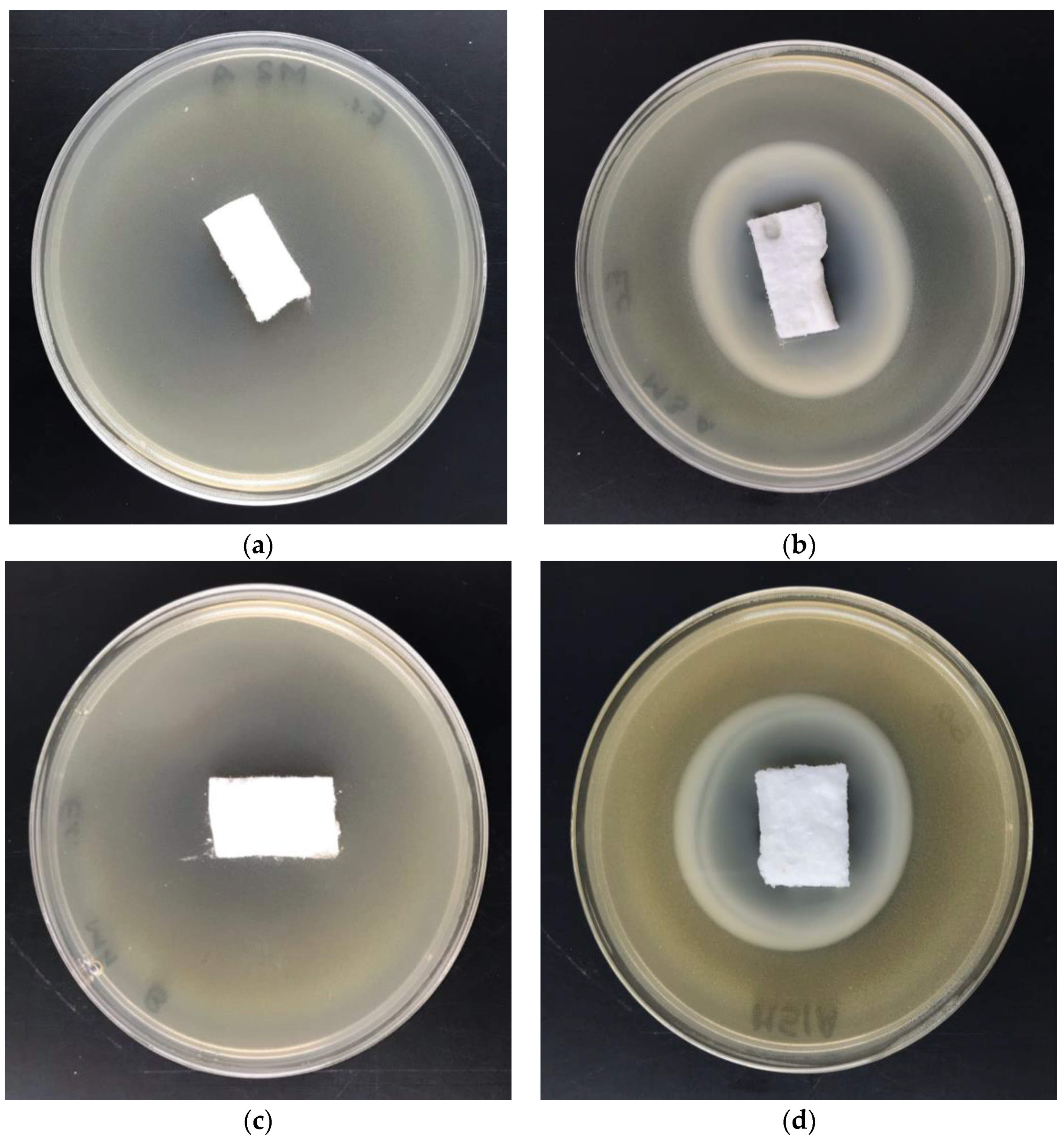 Antibiotics 10 01327 g012
