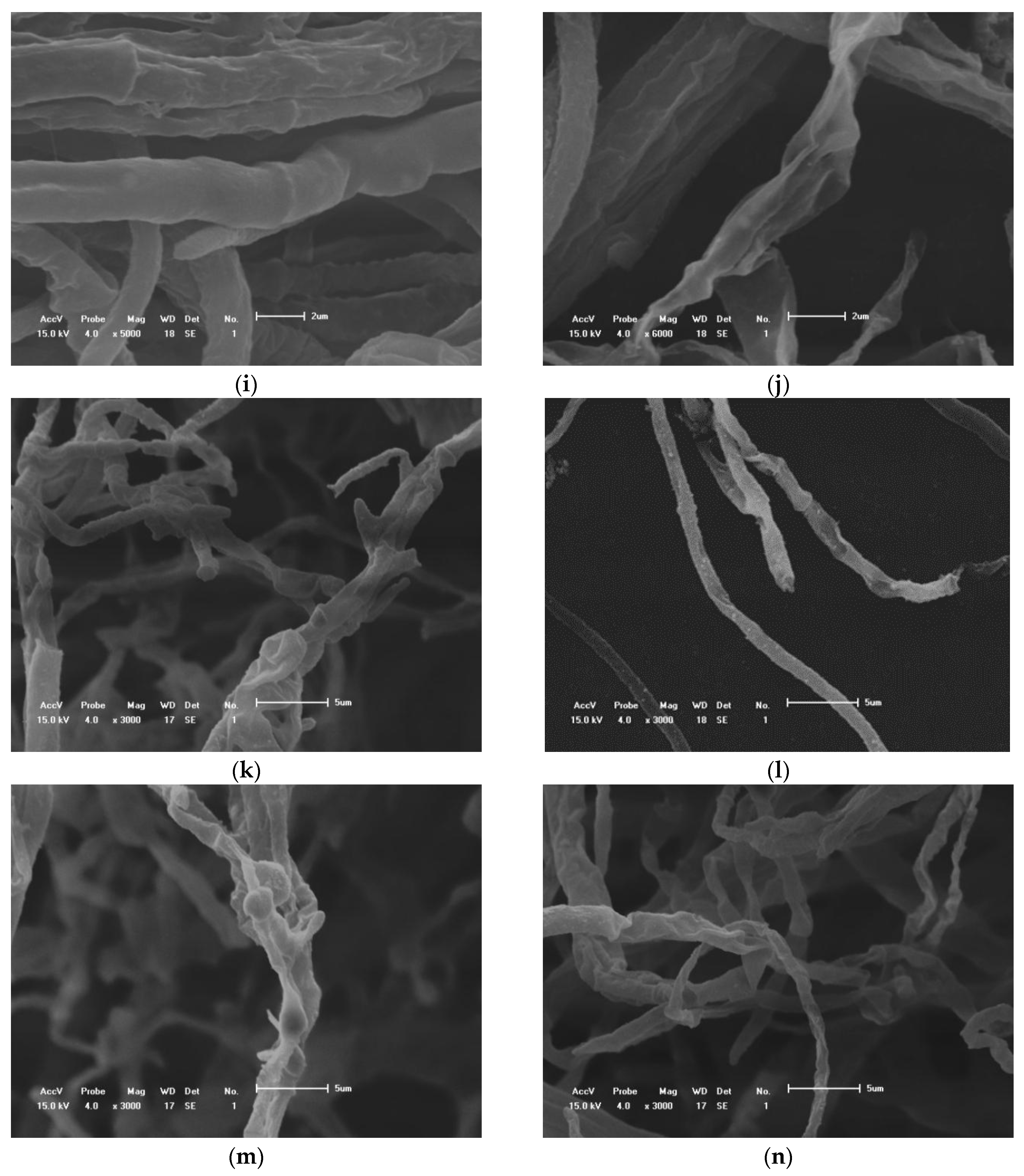 Antibiotics 10 01331 g002b