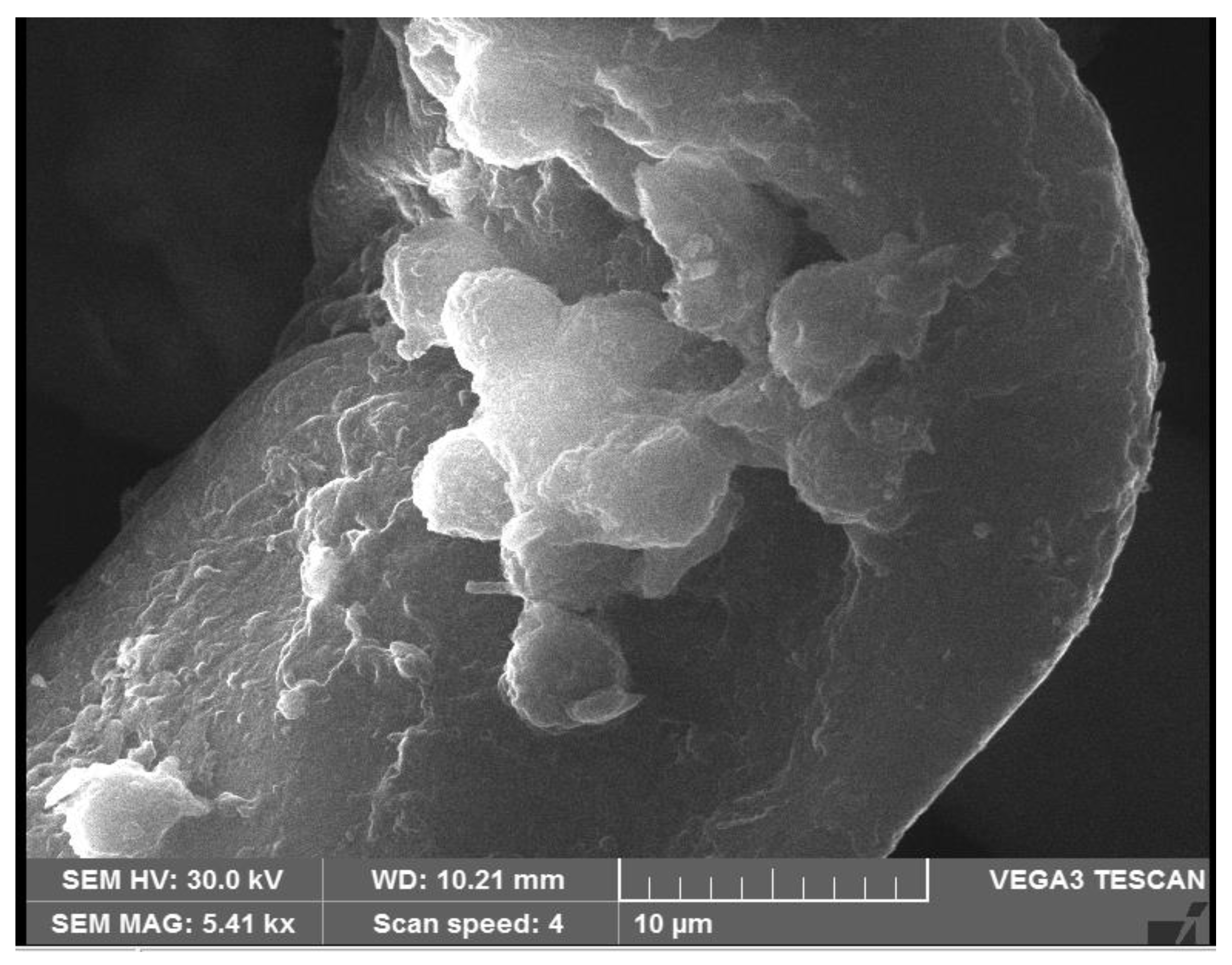 Antibiotics 10 01334 g008 550