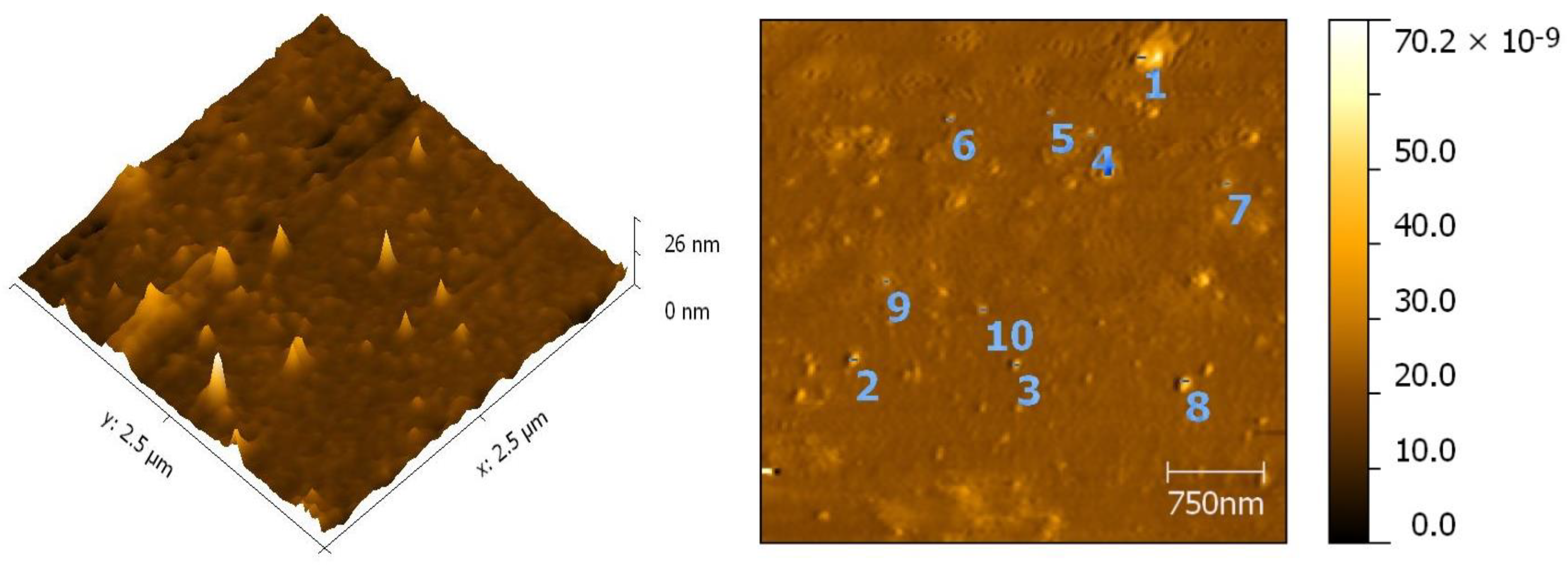 Antibiotics 10 01334 g009 550