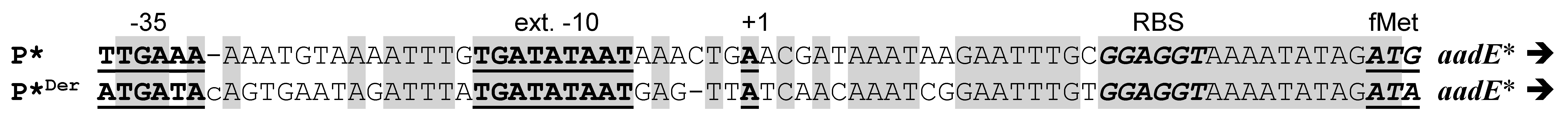 Antibiotics 10 01335 g002