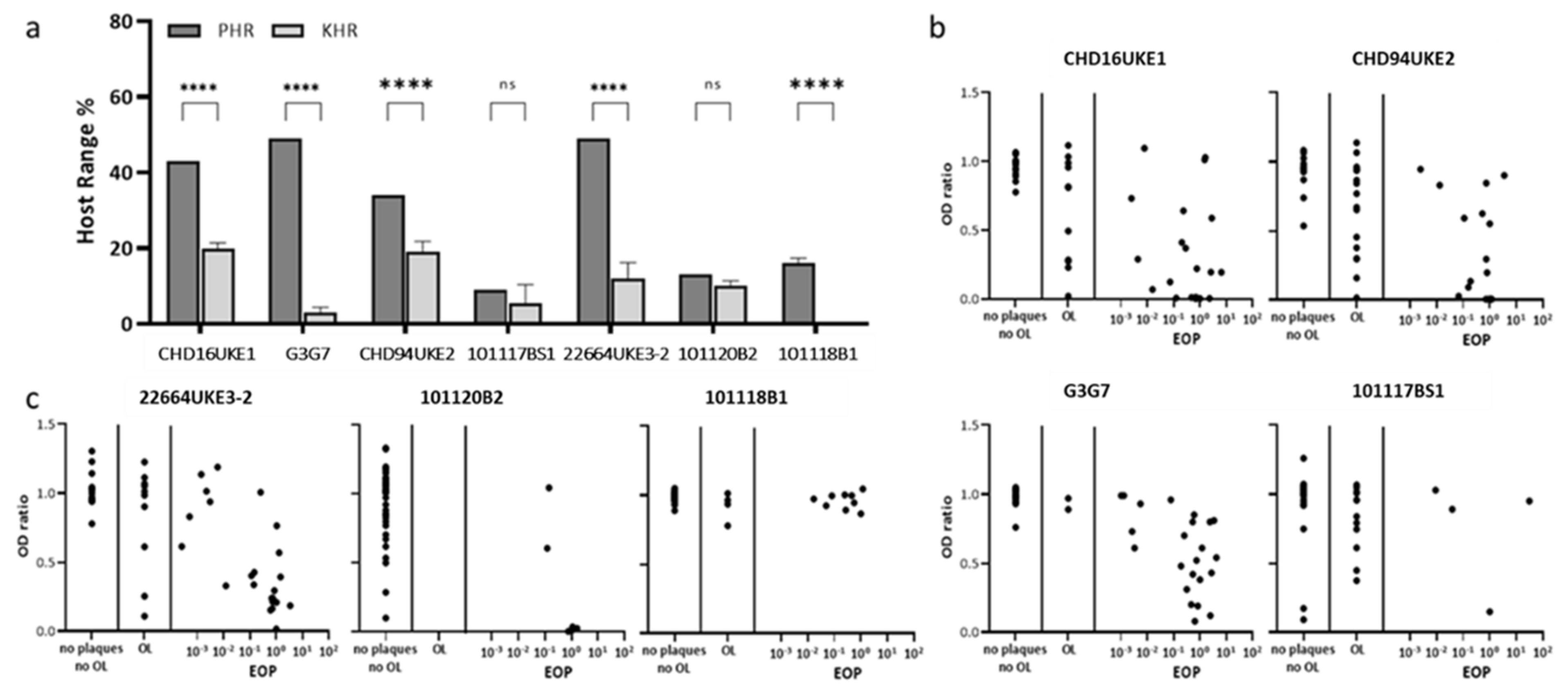 Antibiotics 10 01337 g002