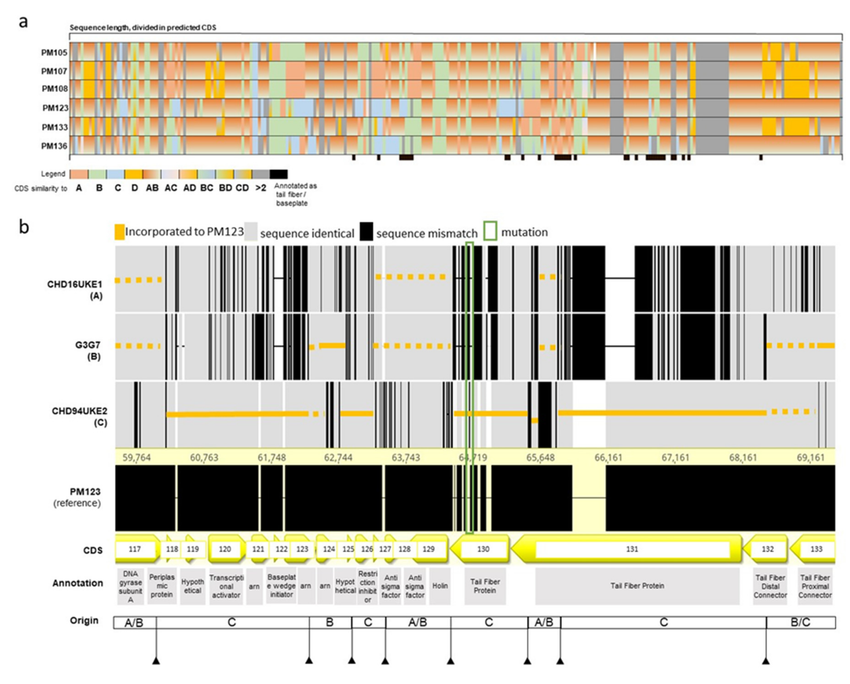 Antibiotics 10 01337 g006
