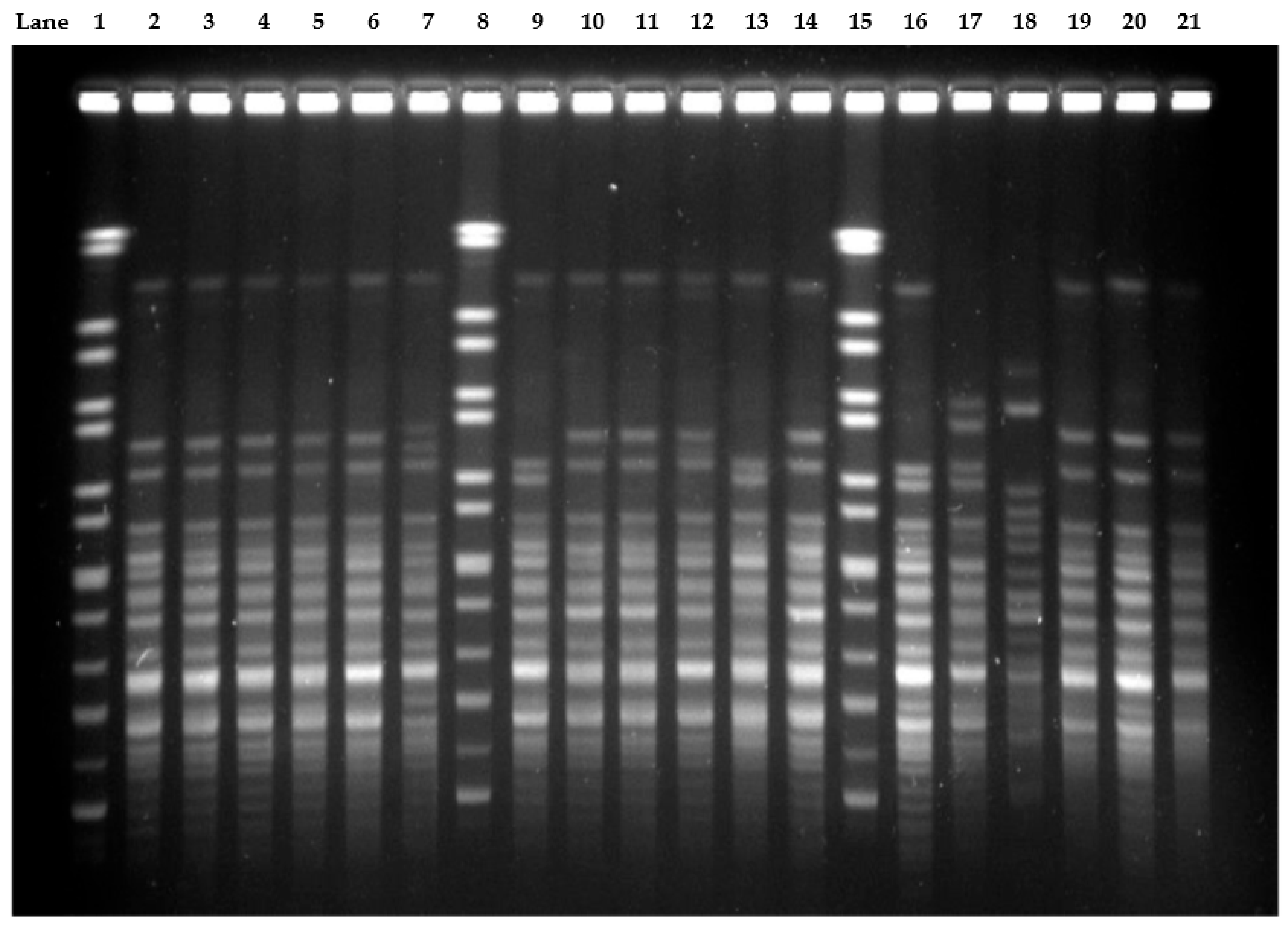 Antibiotics 10 01340 g002 550