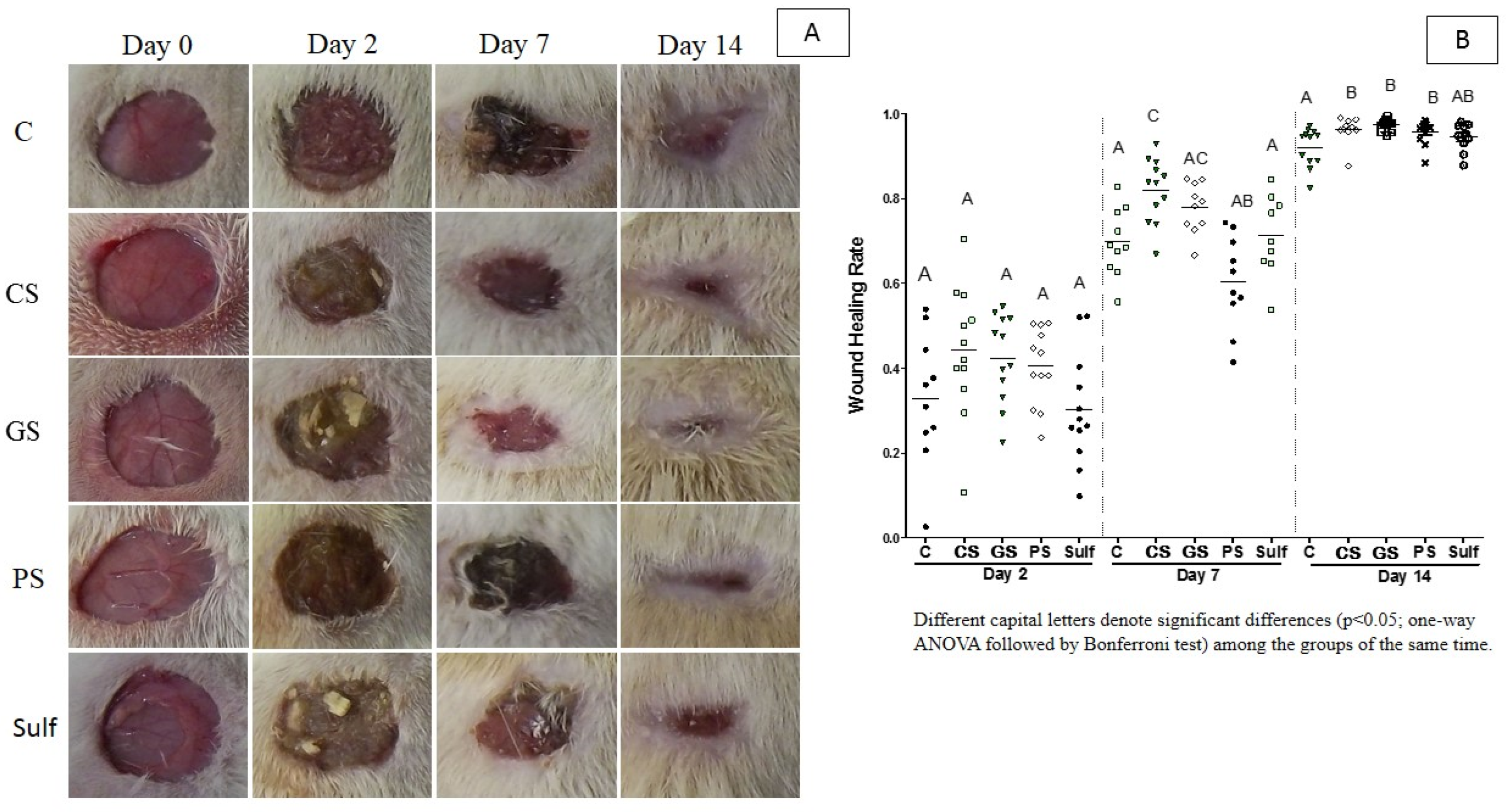 Antibiotics 10 01343 g001