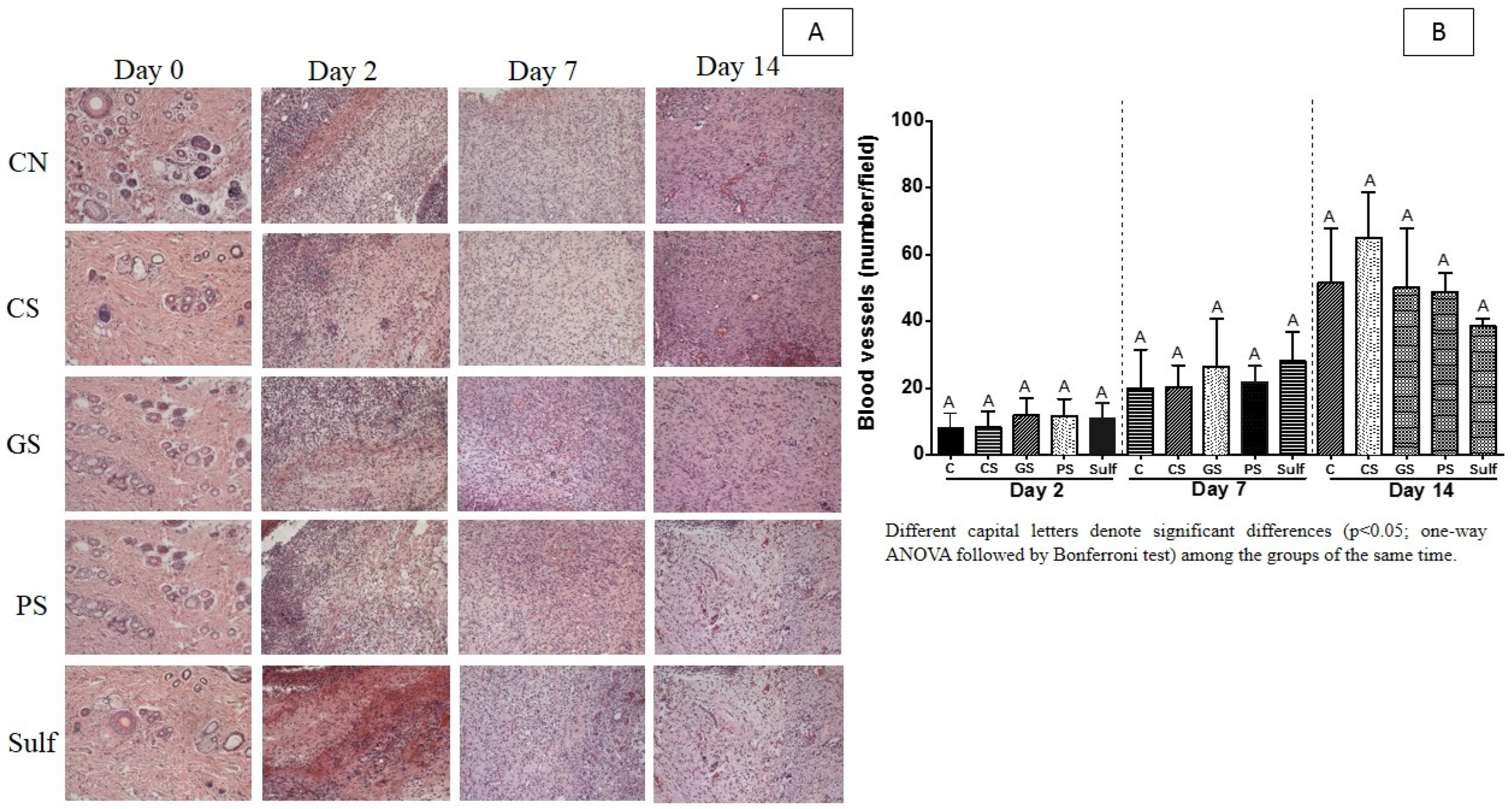 Antibiotics 10 01343 g004