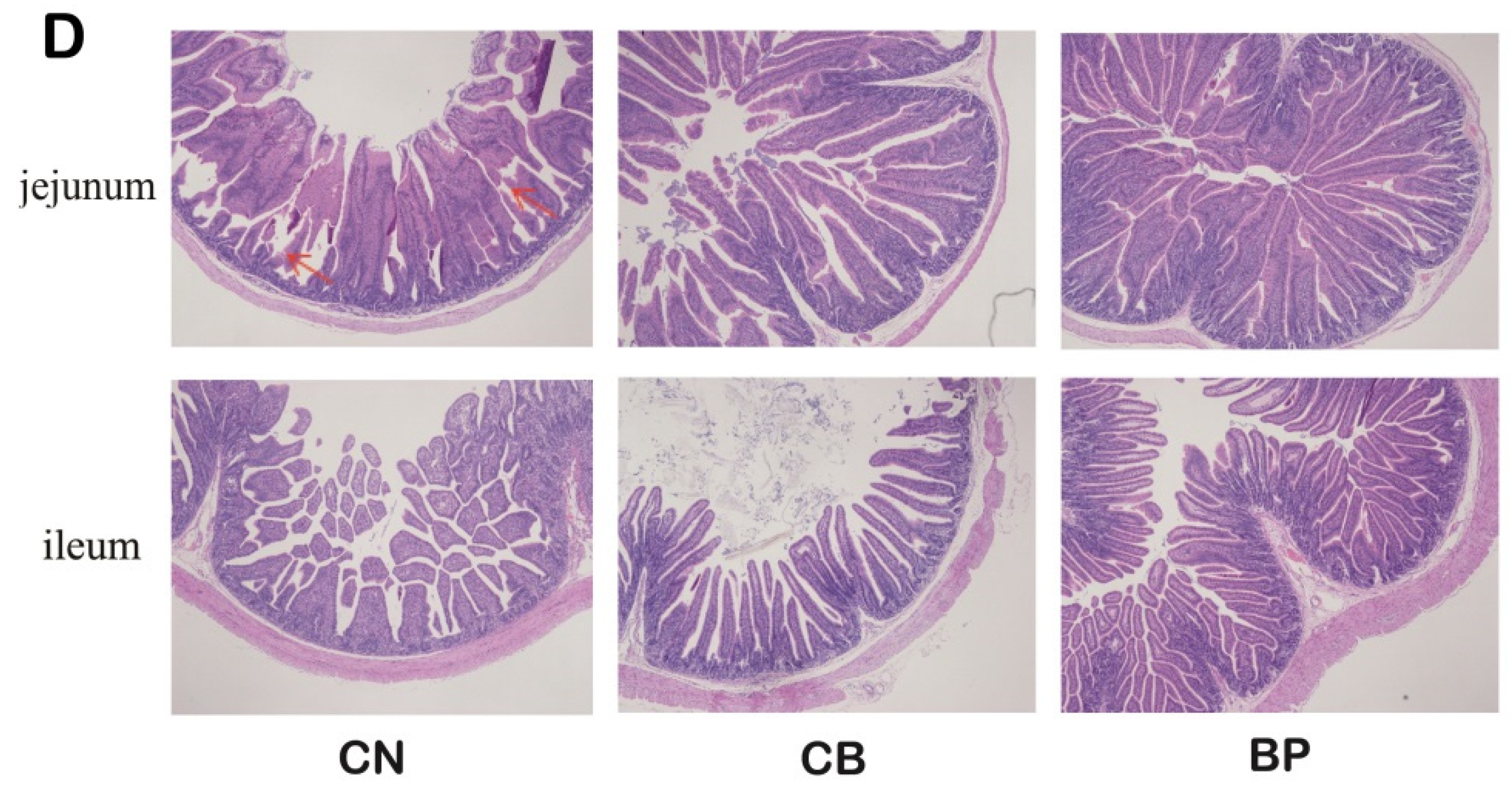 Antibiotics 10 01347 g004b