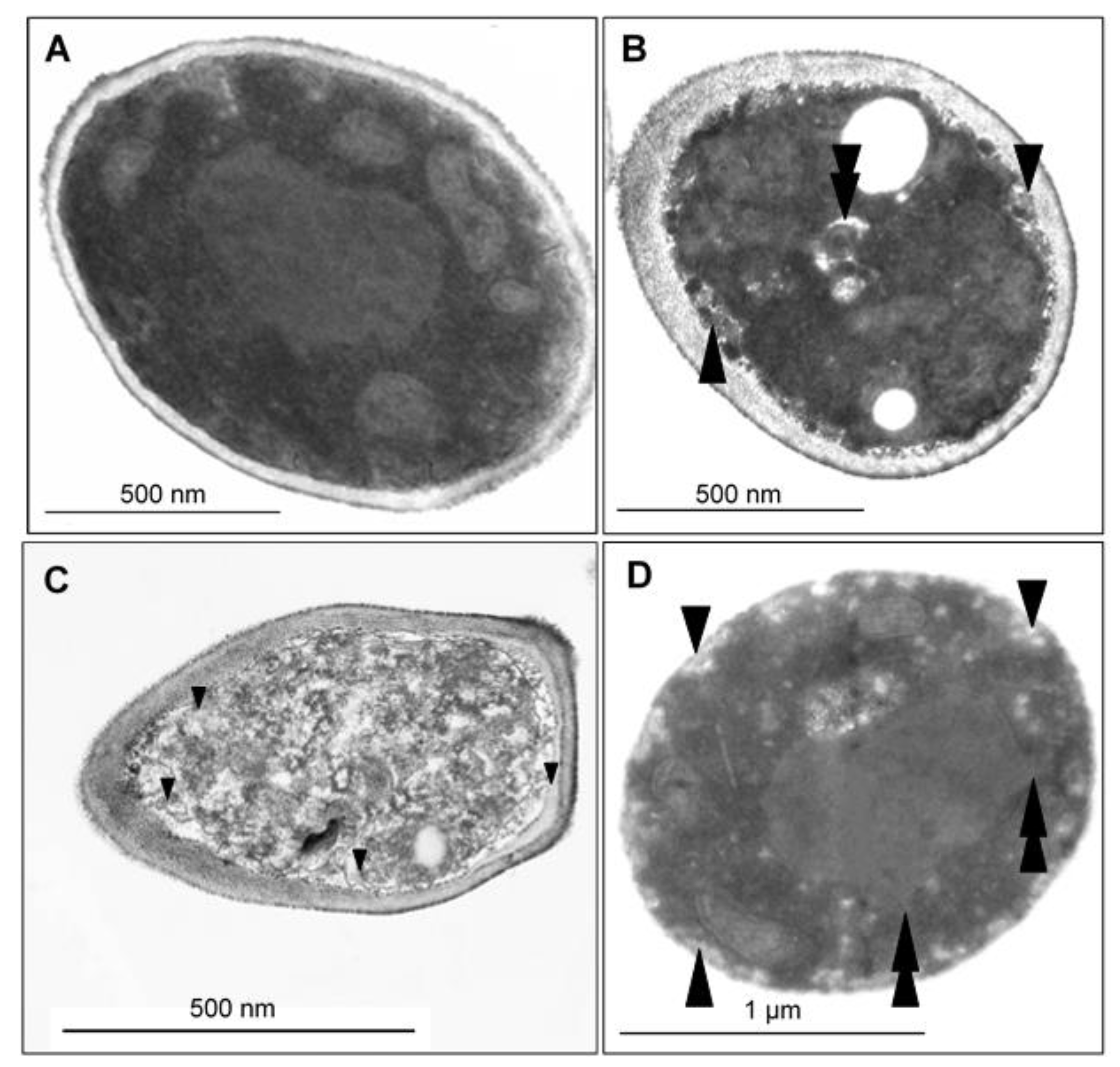 Antibiotics 10 01359 g006 550