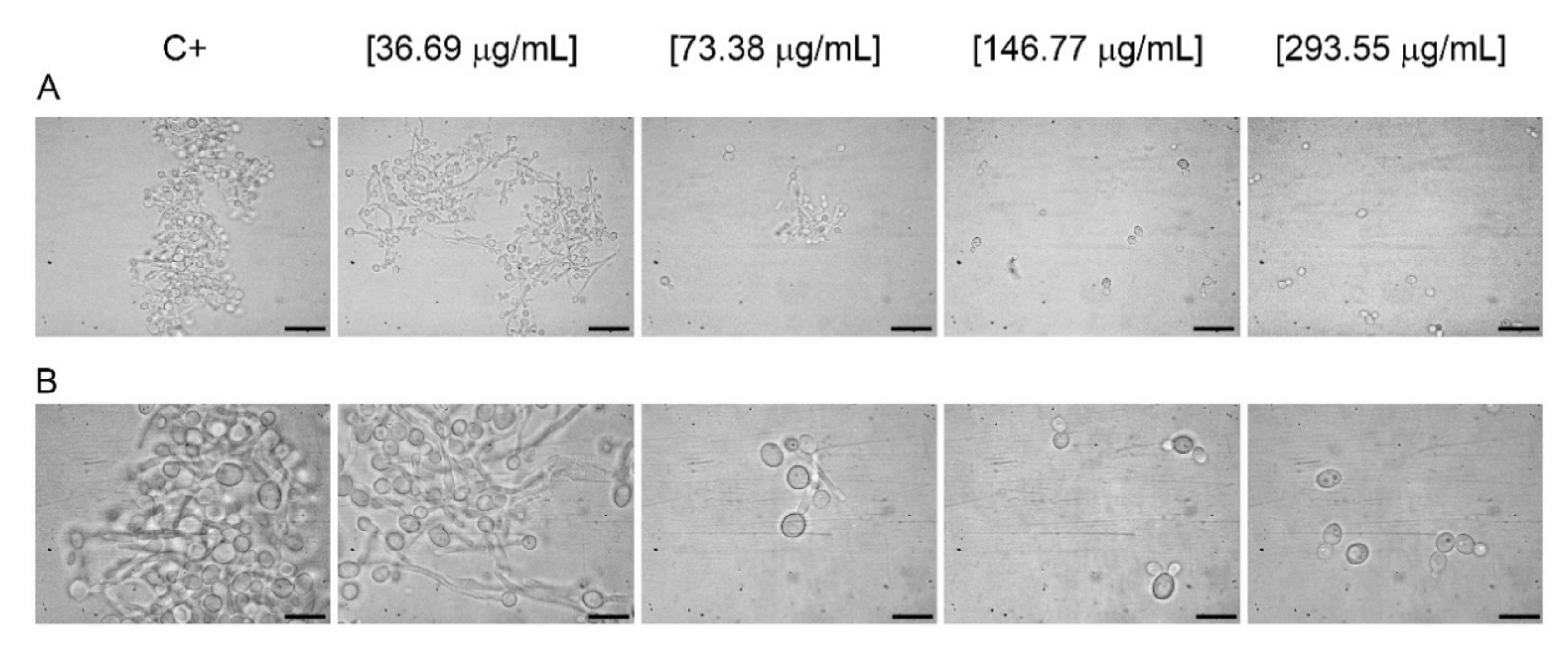 Antibiotics 10 01373 g002 550