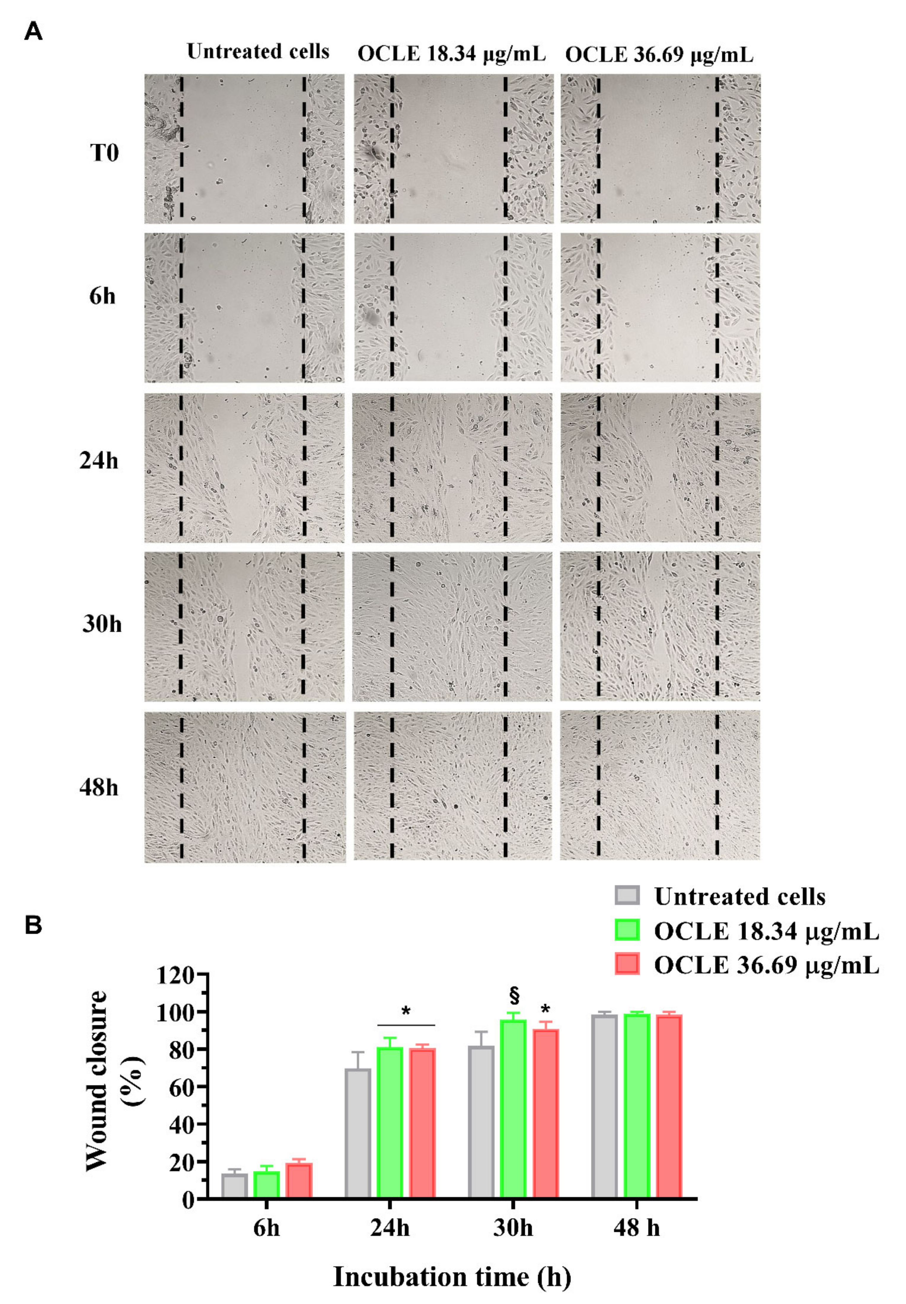 Antibiotics 10 01373 g004 550