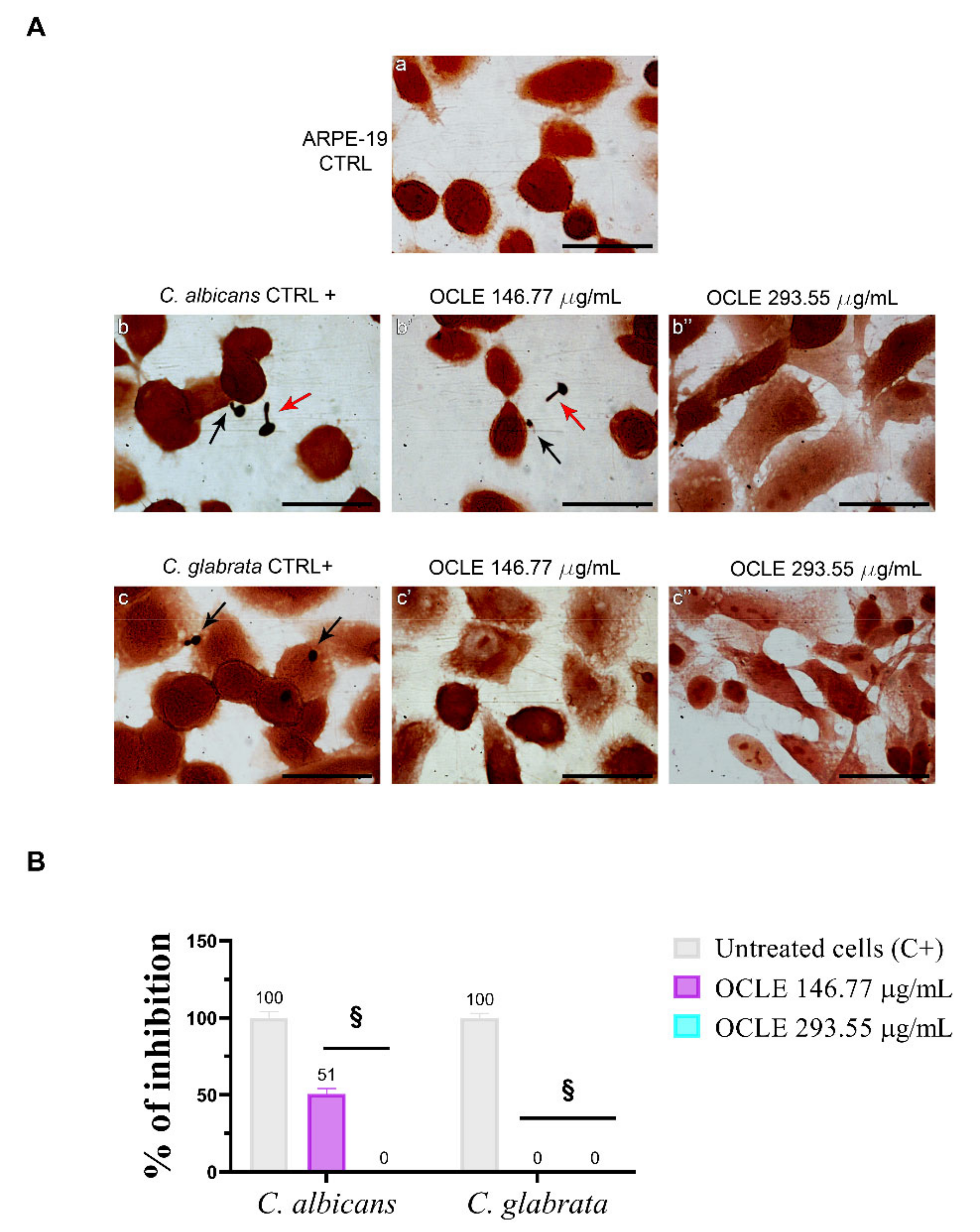 Antibiotics 10 01373 g005 550