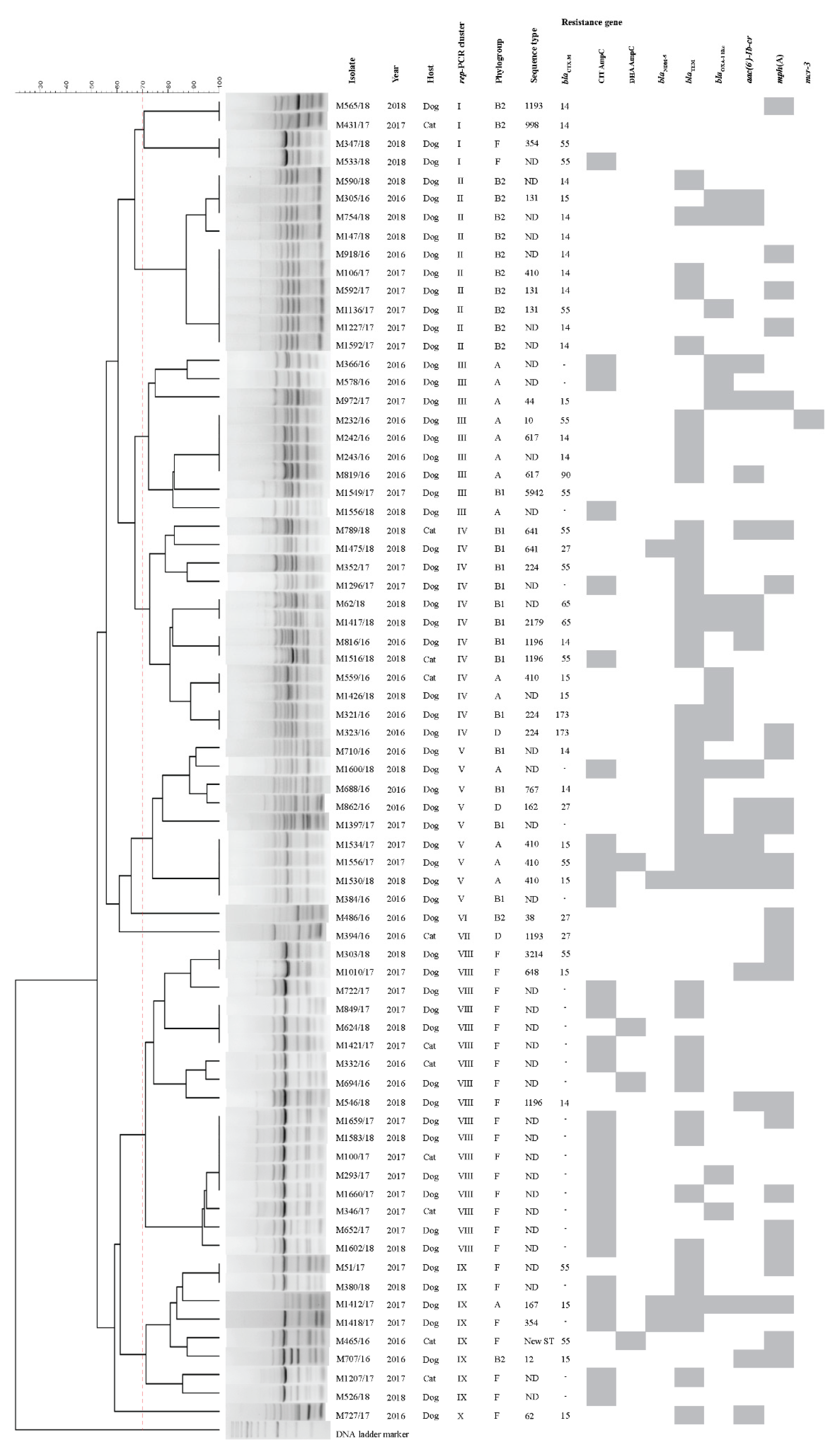 Antibiotics 10 01374 g001