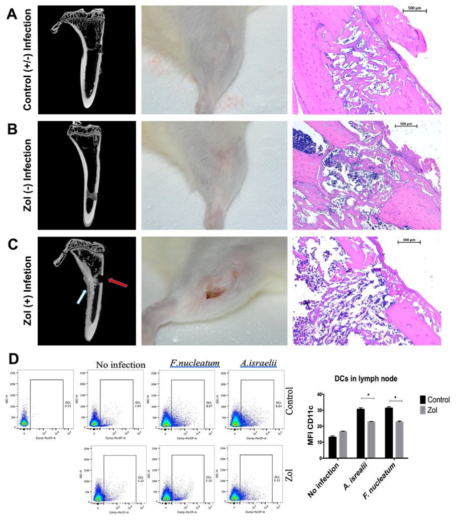 Antibiotics 10 01380 g003 550
