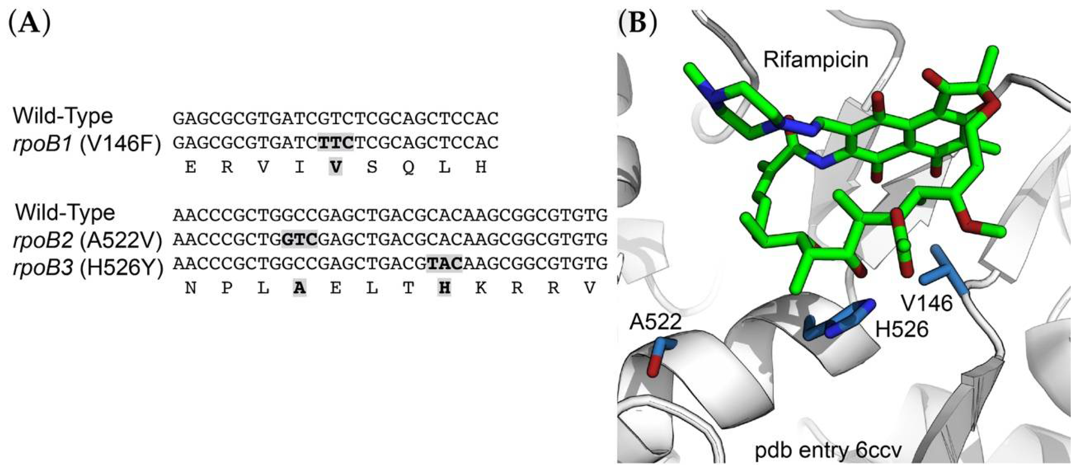 Antibiotics 10 01384 g001
