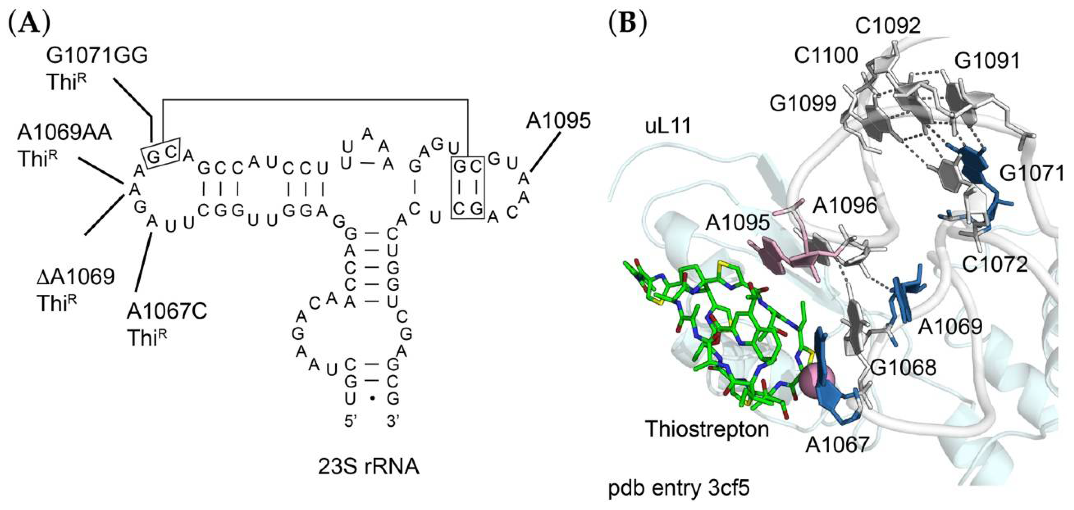 Antibiotics 10 01384 g002