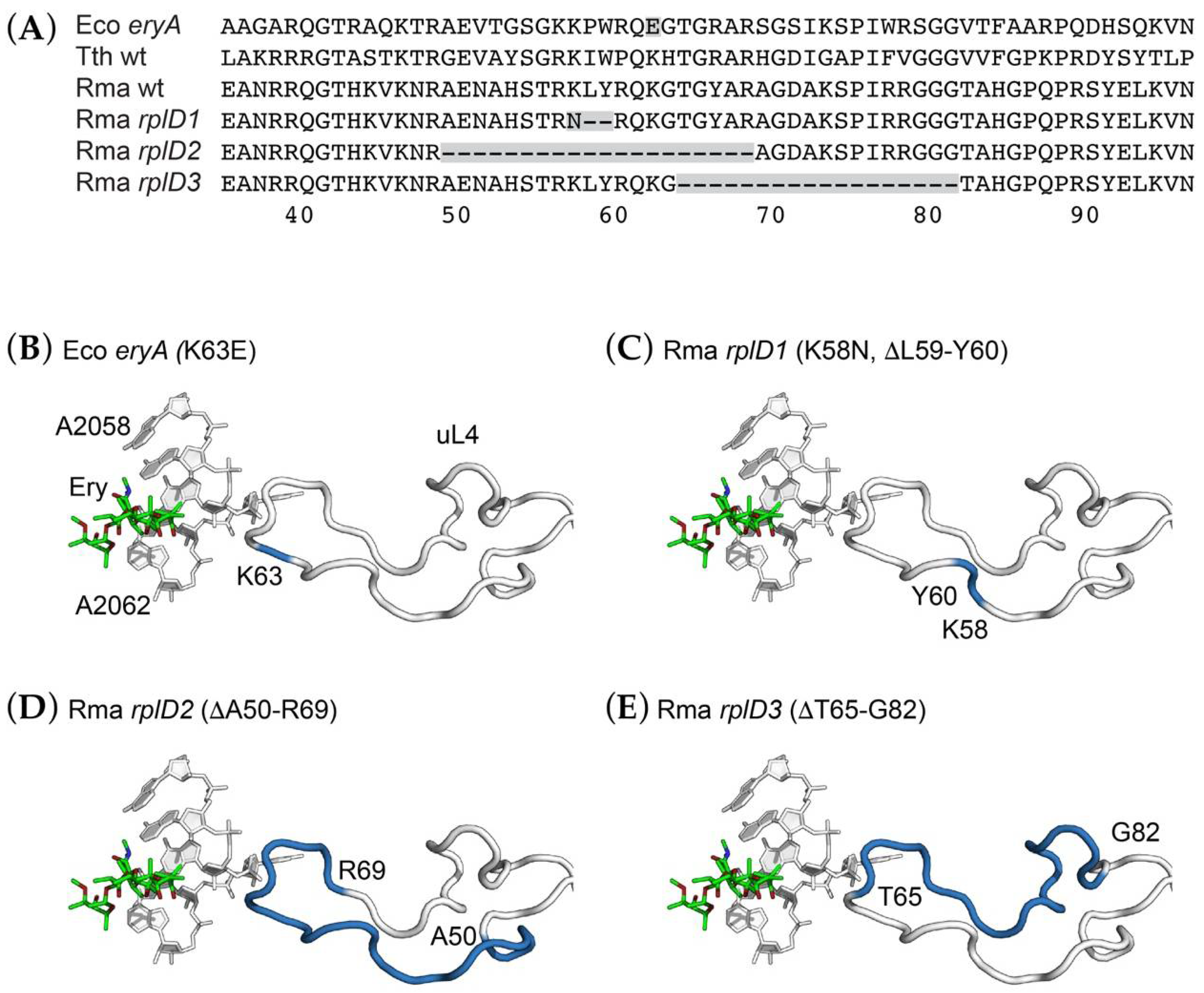 Antibiotics 10 01384 g004