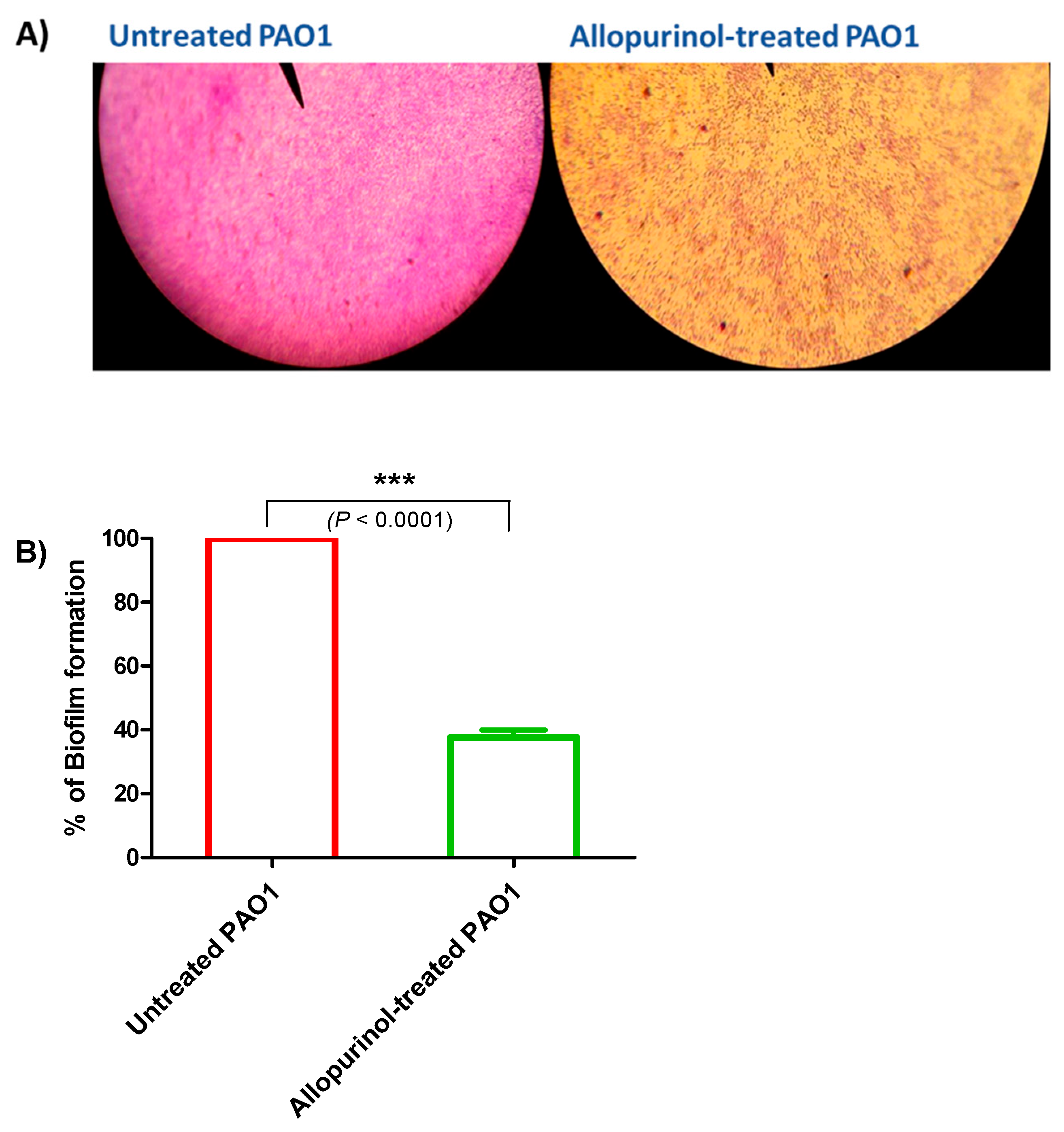 Antibiotics 10 01385 g003