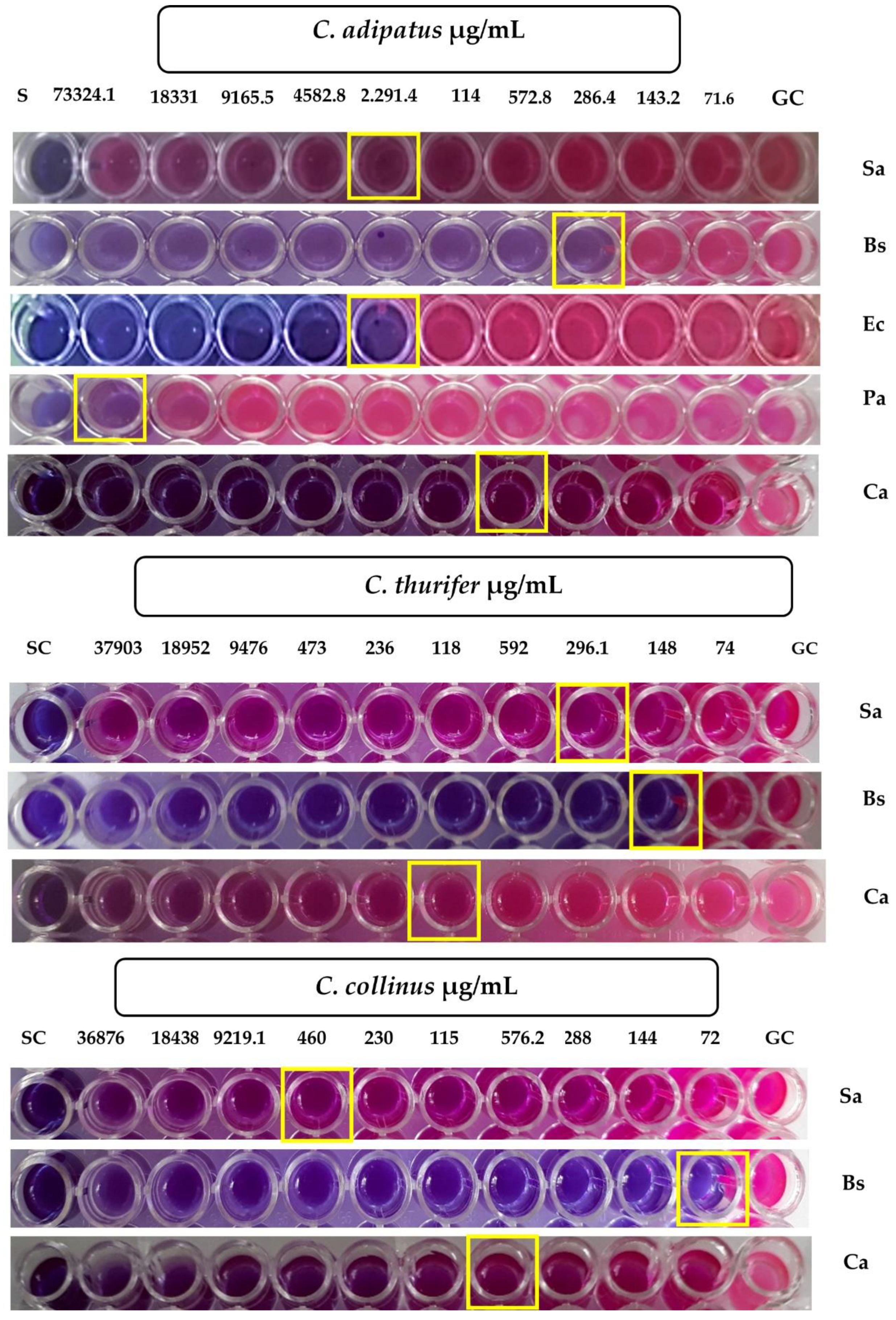 Antibiotics 10 01387 g003 Antibiotics 10 01387 g003