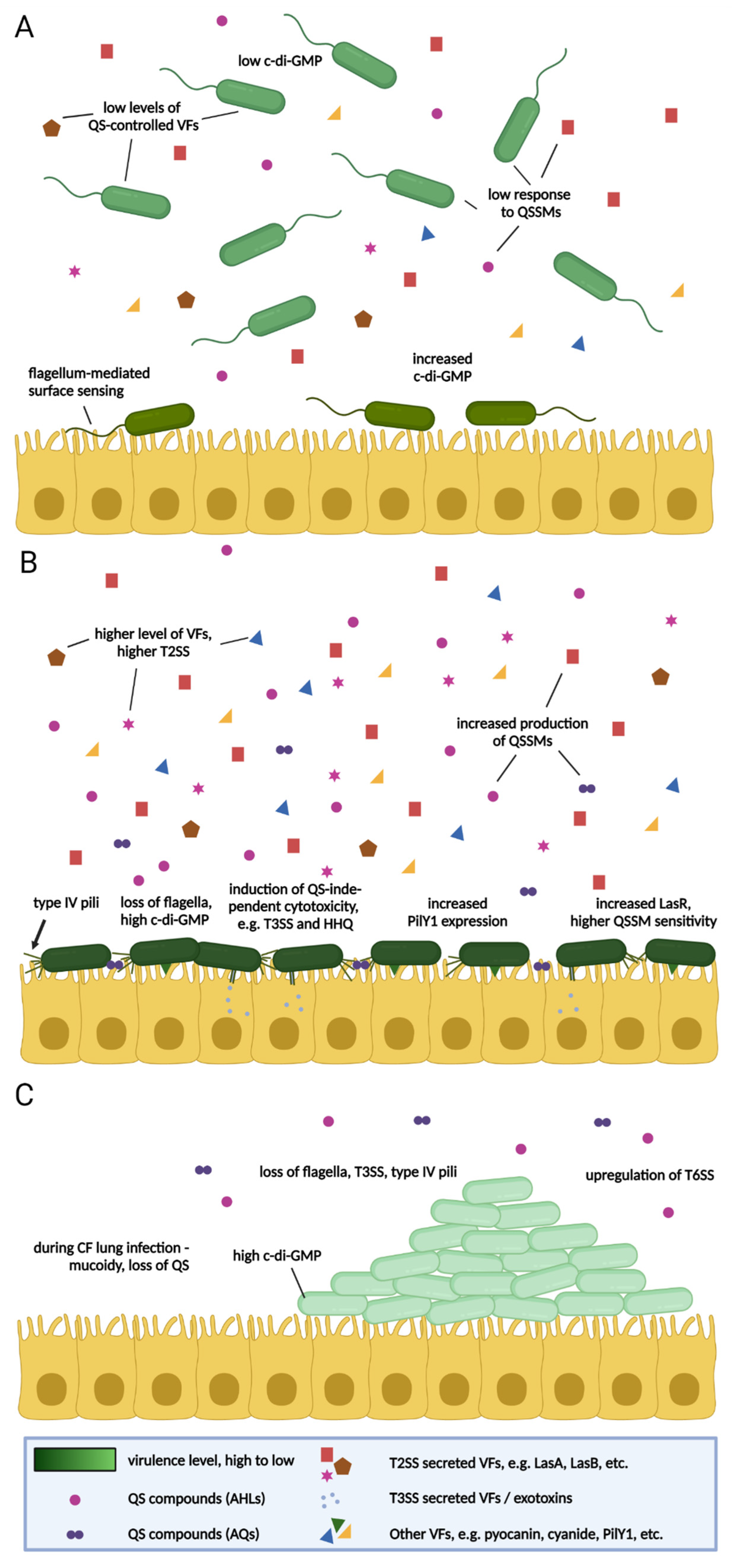 Antibiotics 10 01393 g001 Antibiotics 10 01393 g001