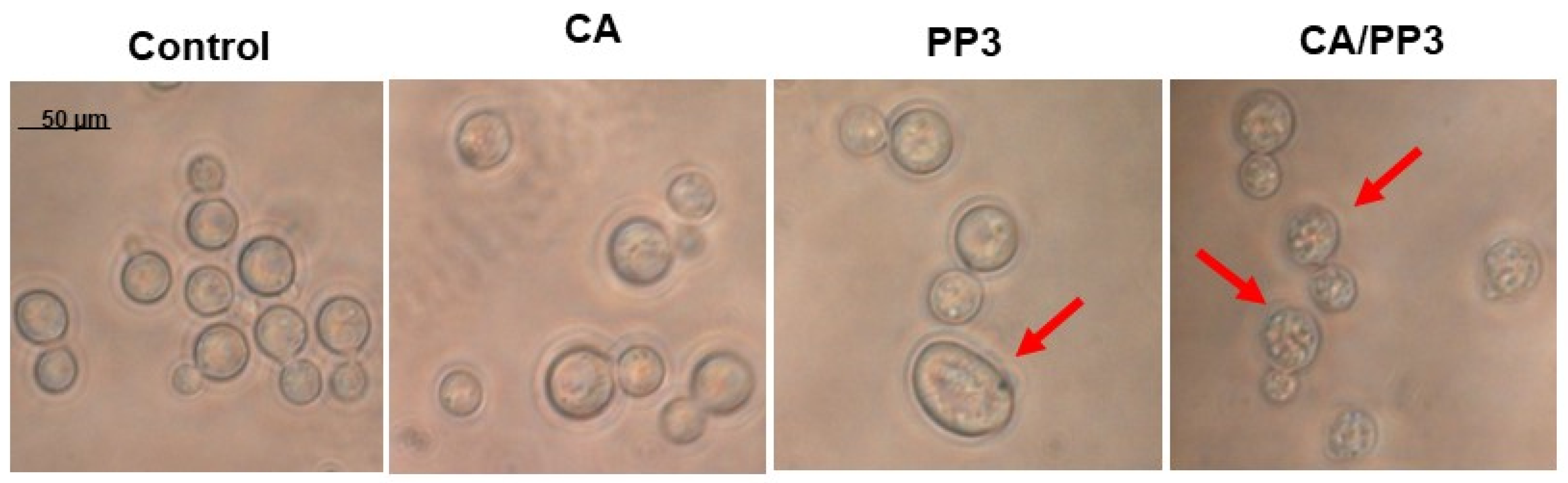 Antibiotics 10 01395 g004 Antibiotics 10 01395 g004