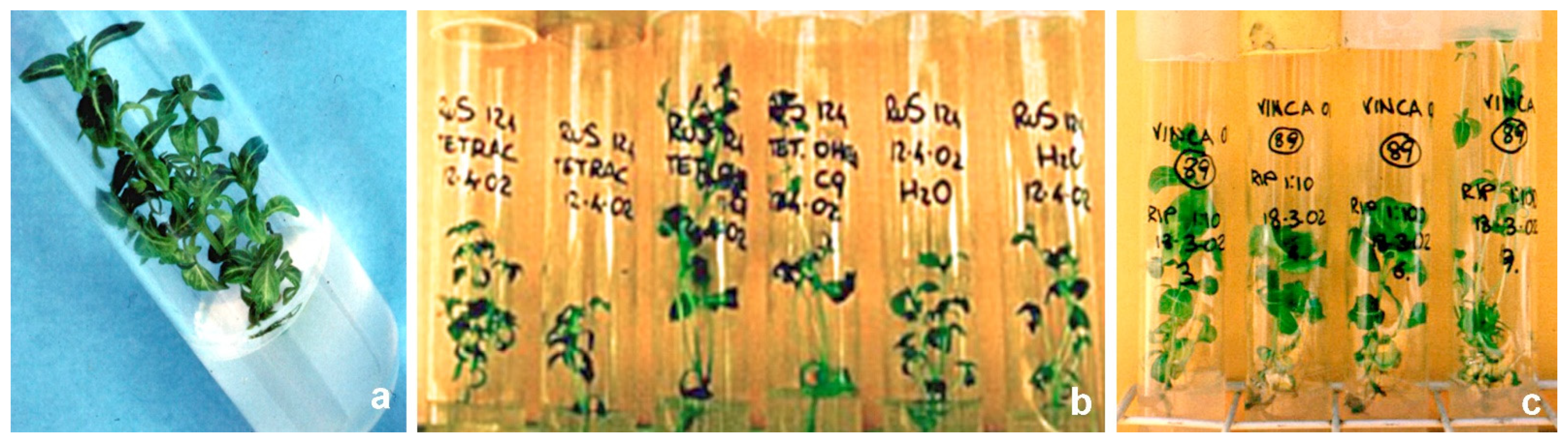 Antibiotics 10 01398 g003 Antibiotics 10 01398 g003