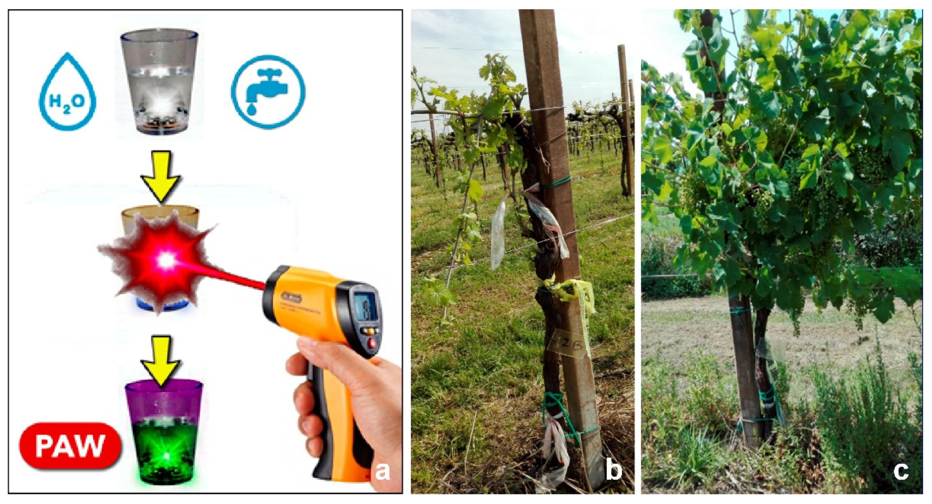 Antibiotics 10 01398 g004 Antibiotics 10 01398 g004