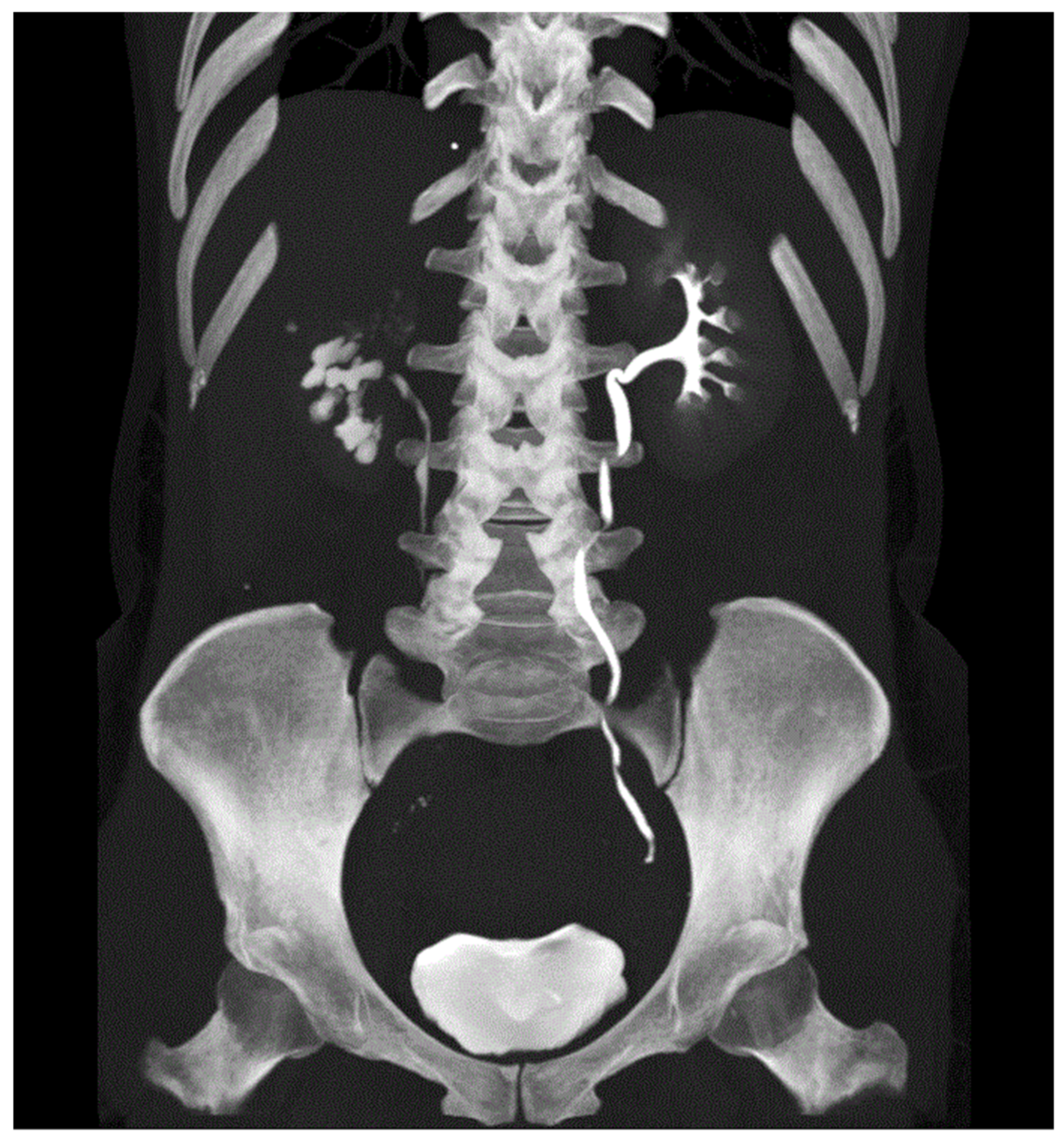 Antibiotics 10 01399 g004