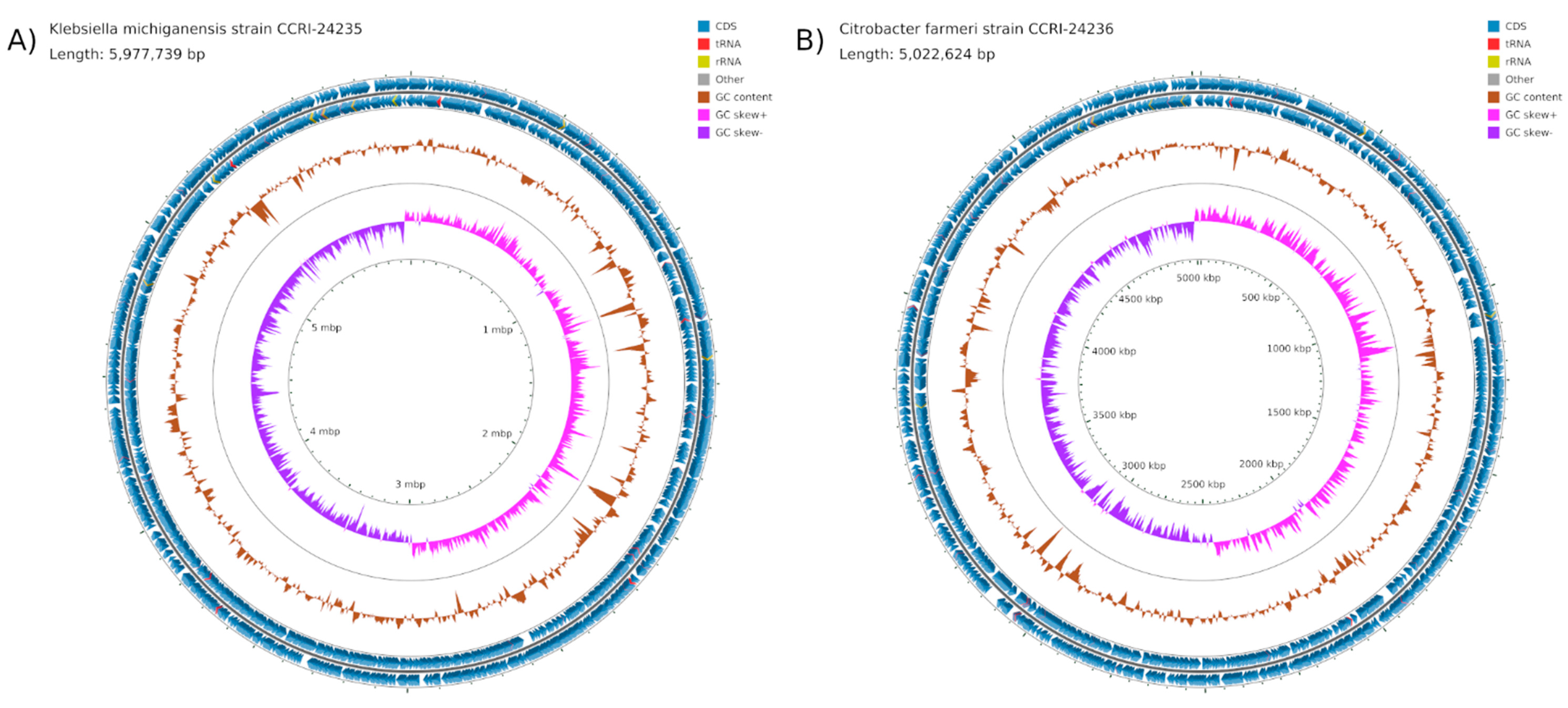 Antibiotics 10 01408 g001