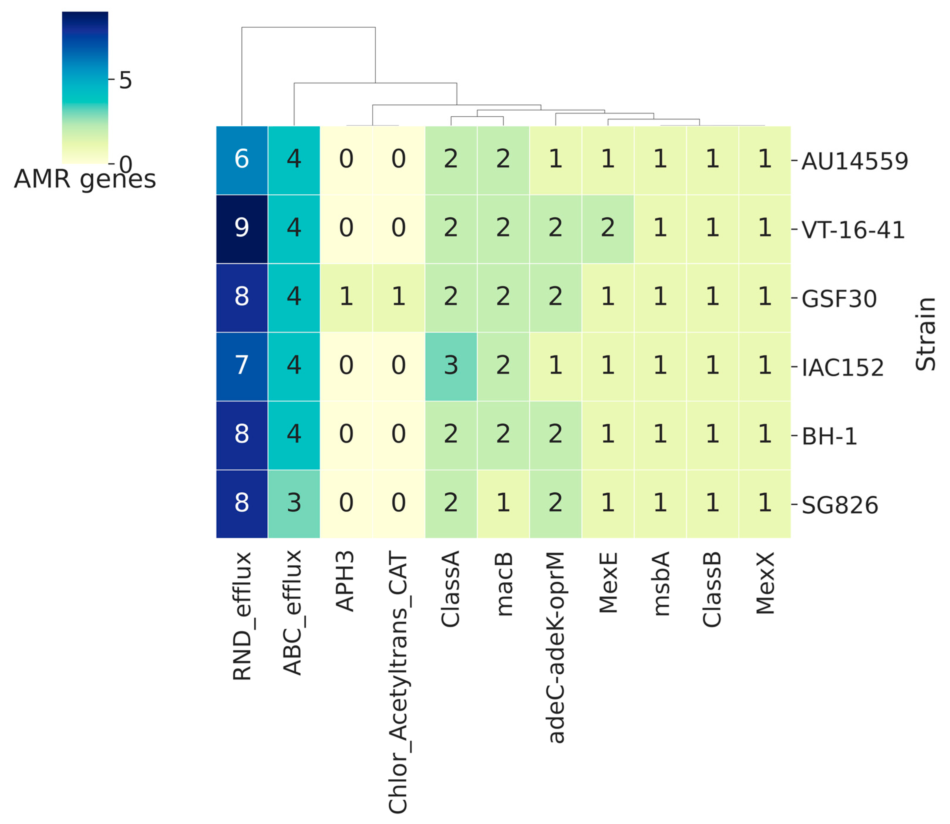 Antibiotics 10 01409 g006