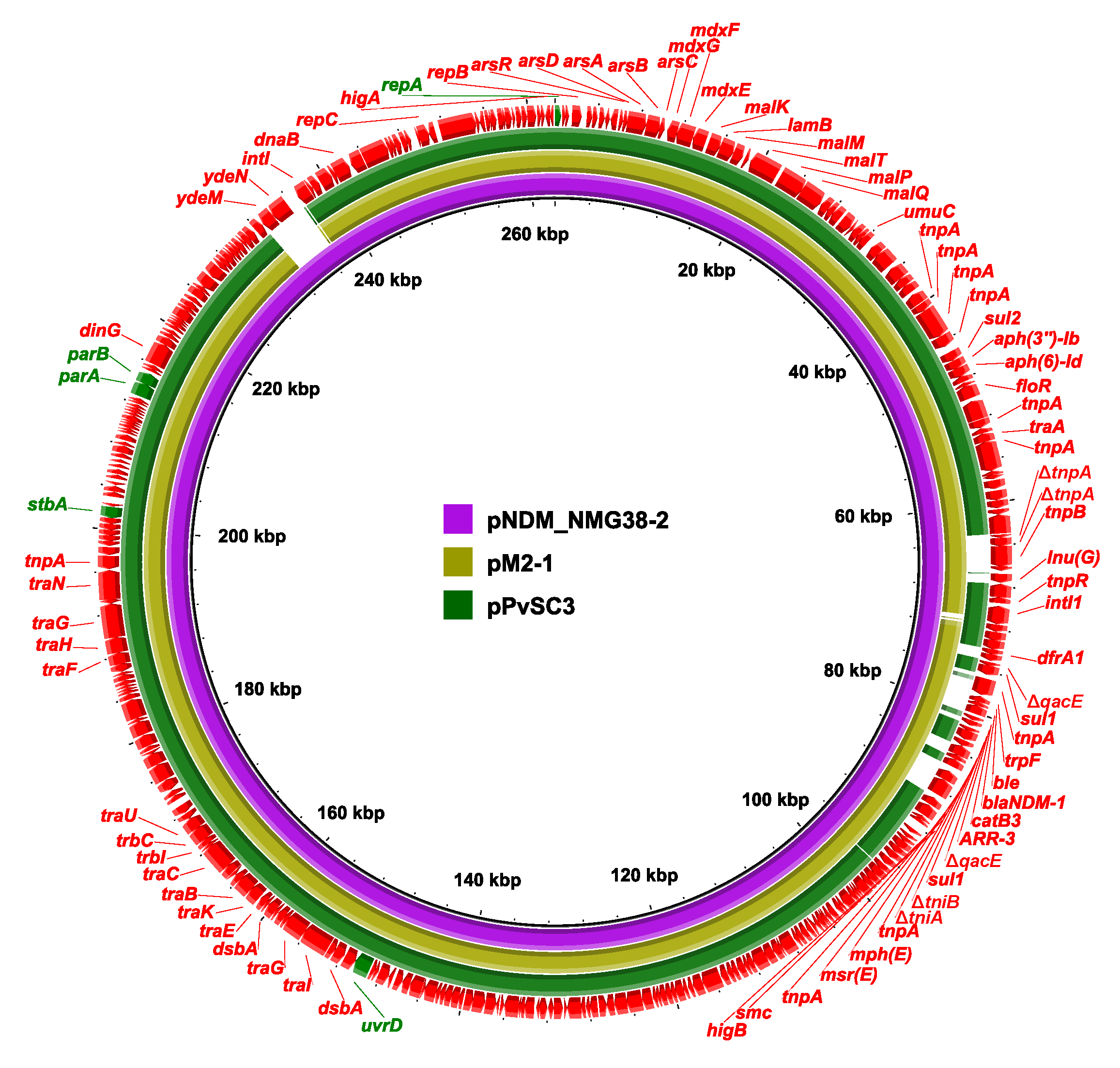 Antibiotics 10 01411 g002