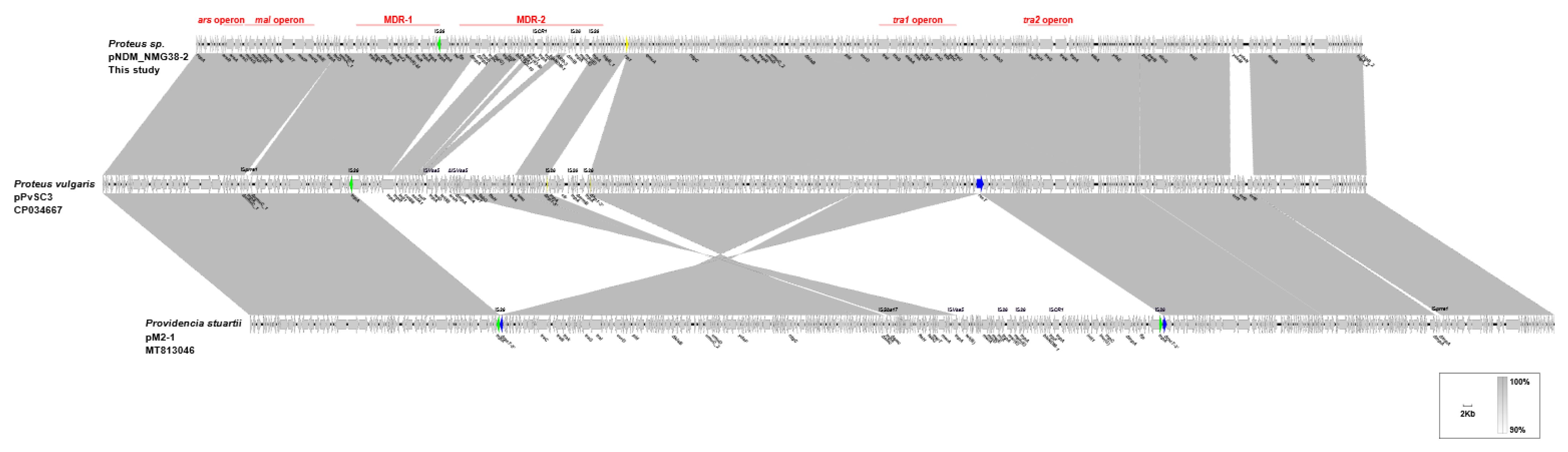Antibiotics 10 01411 g003