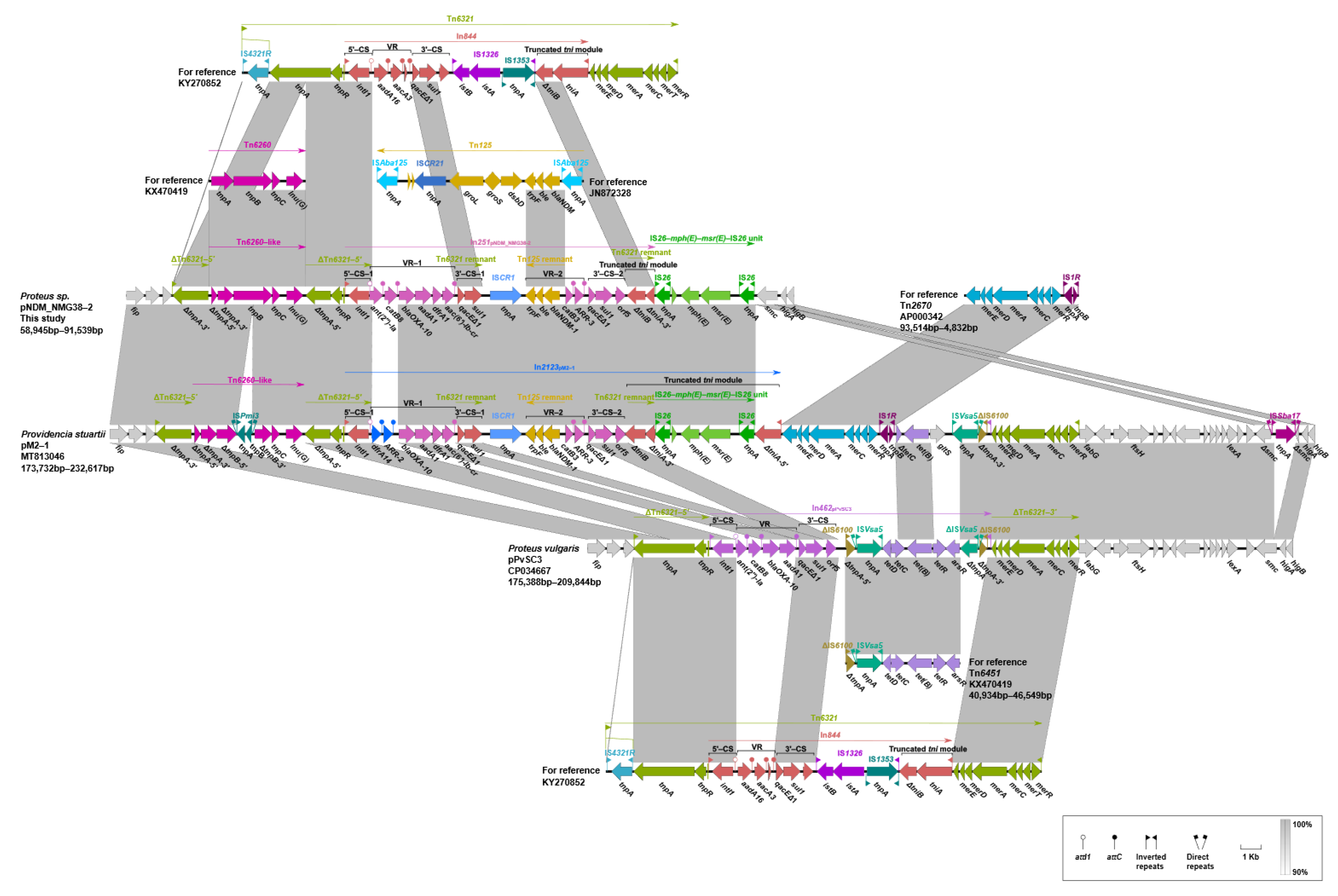 Antibiotics 10 01411 g005