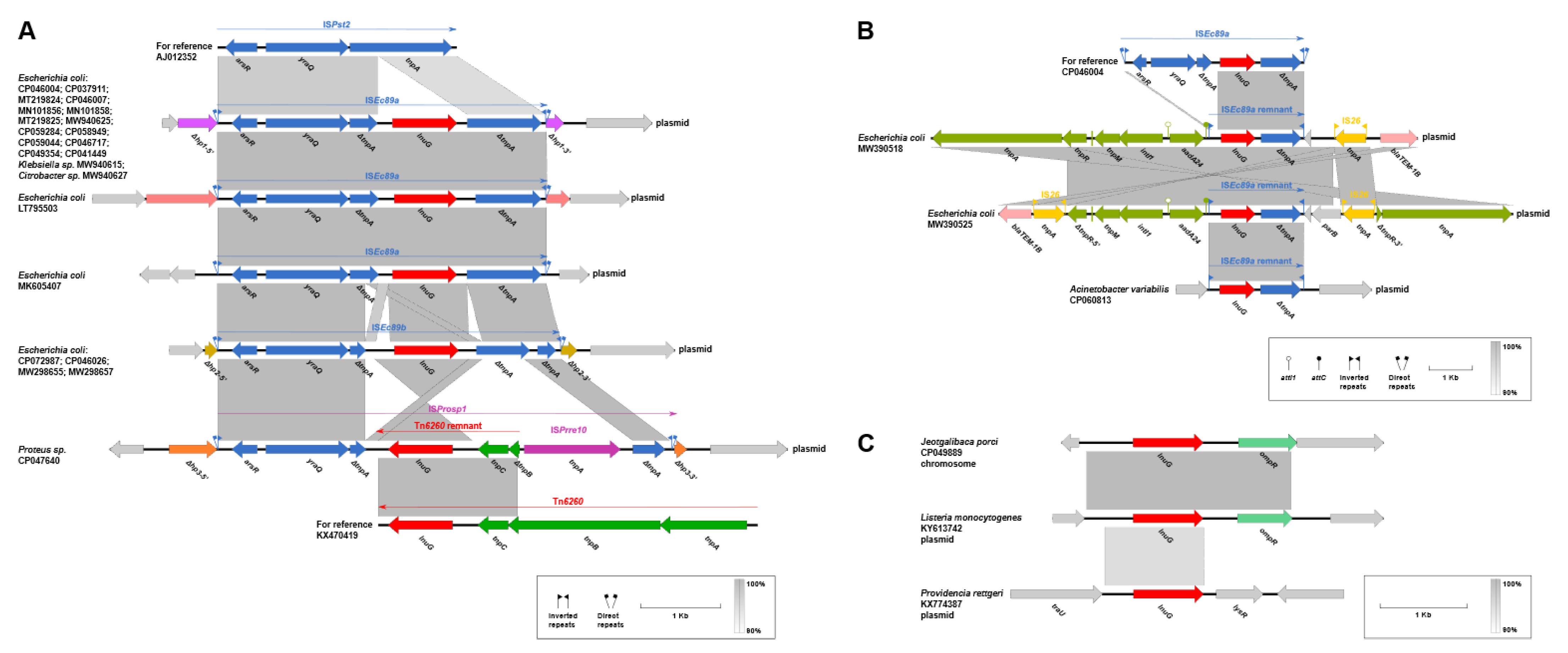 Antibiotics 10 01411 g007
