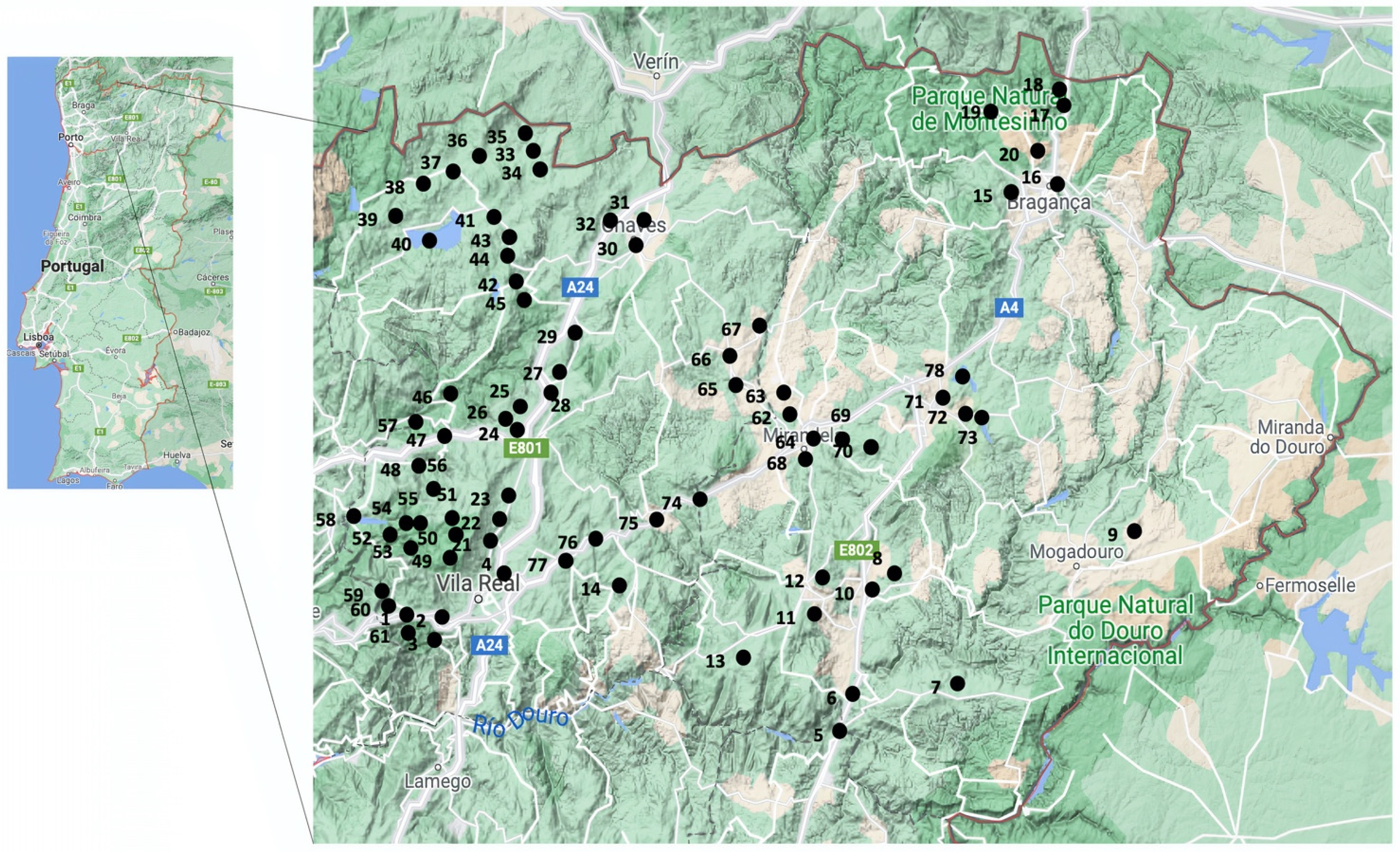 Antibiotics 10 01416 g001