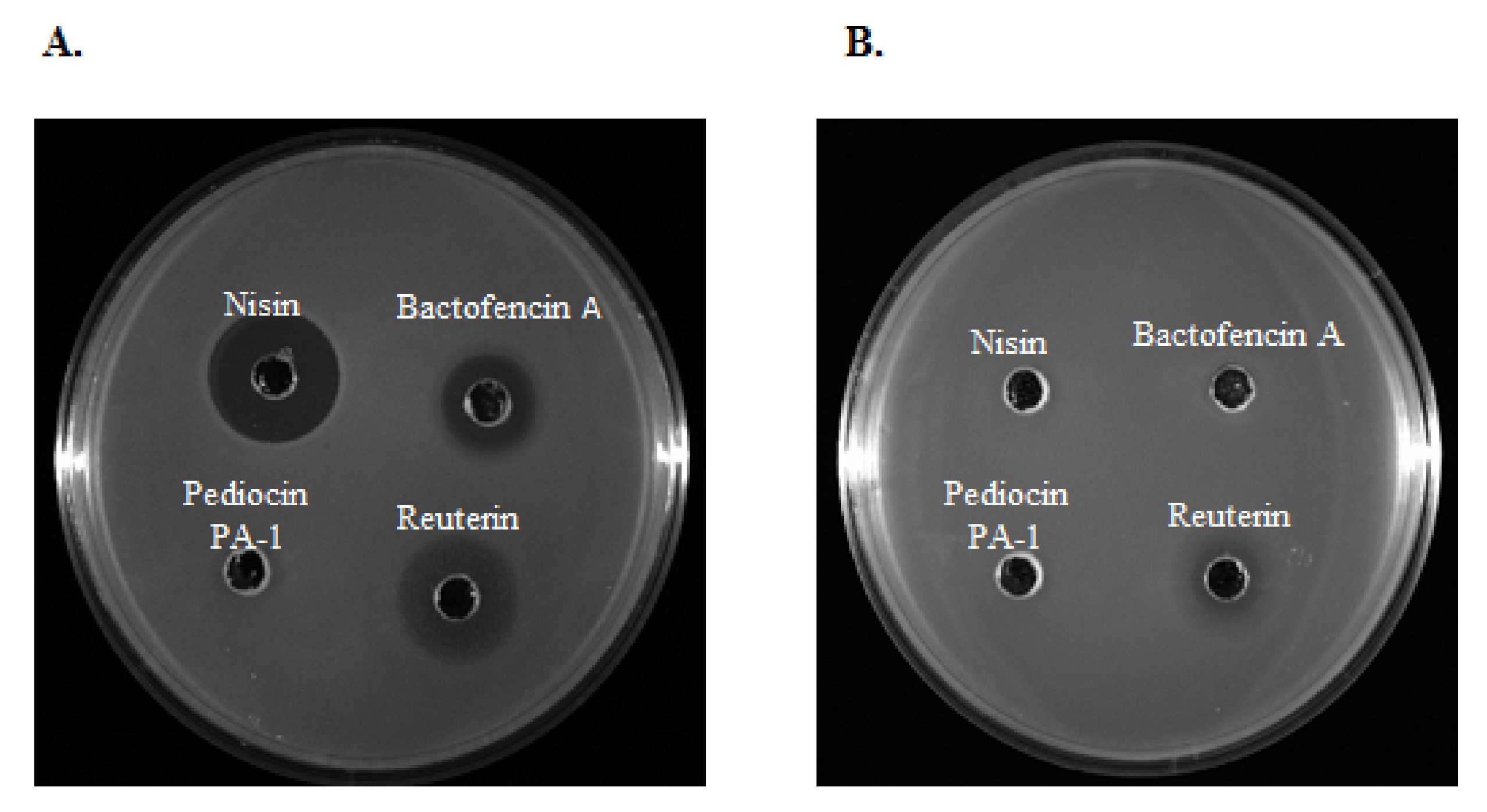 Antibiotics 10 01418 g002