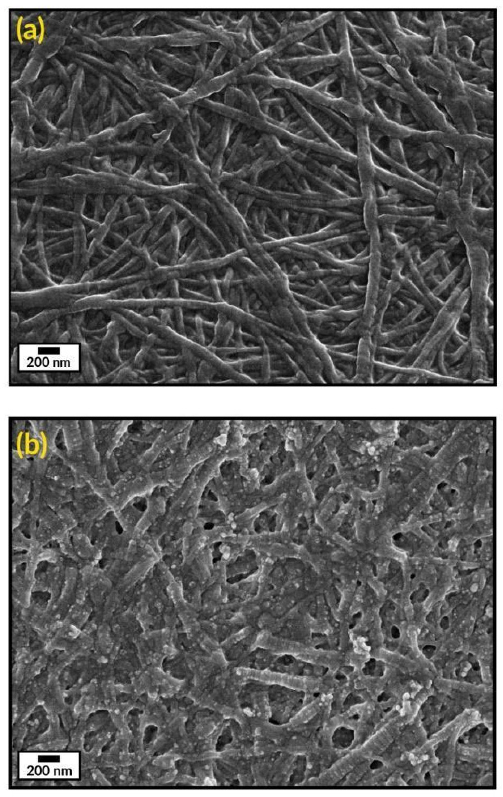 Antibiotics 10 01420 g004